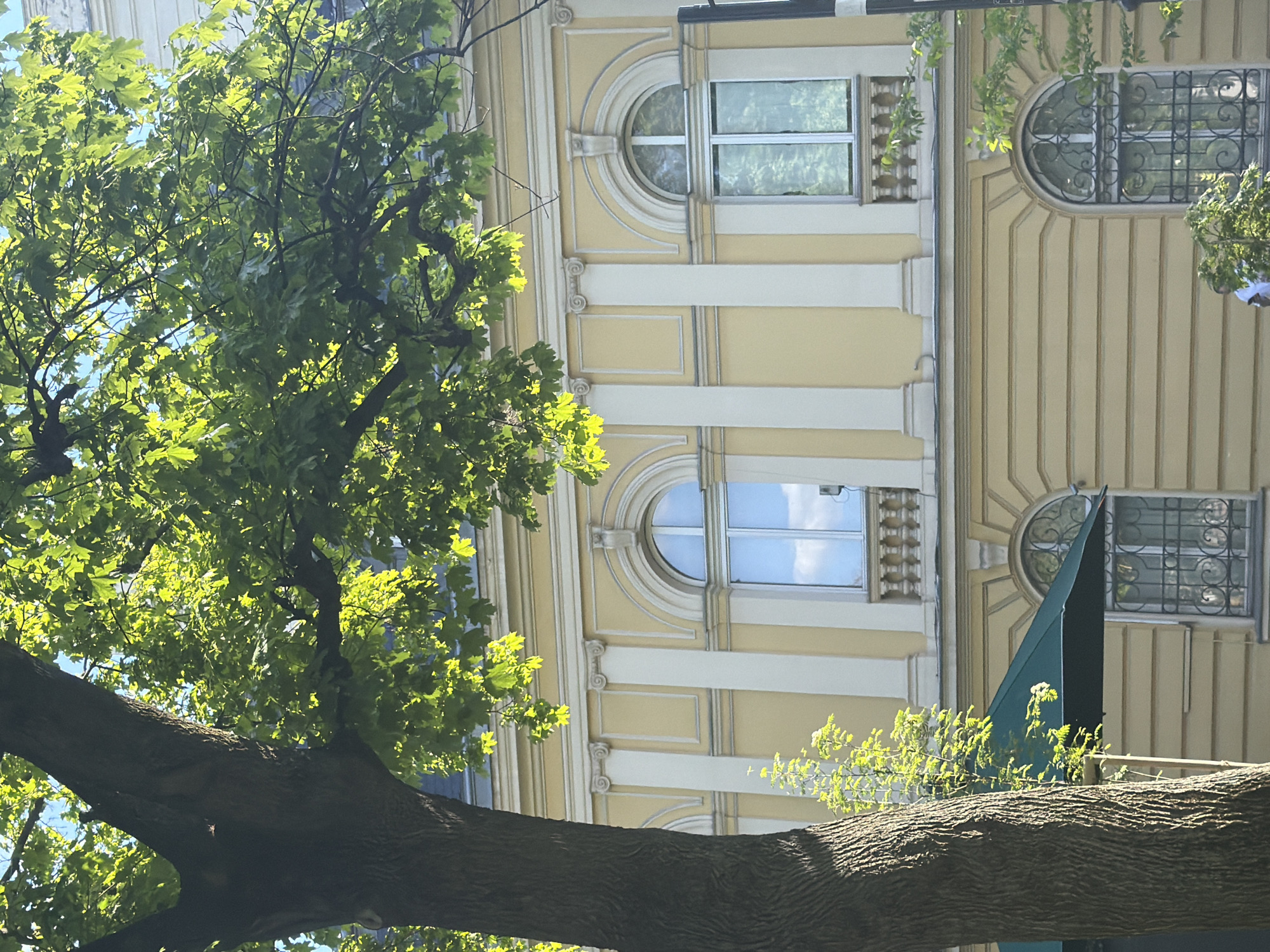 The image shows a low-angle view of a building with ornate architectural details, partially obscured by a large tree. The building is light yellow with white trim, featuring arched windows with decorative elements. Some windows have bars or grills. The tree has a thick, textured trunk and green leaves, with sunlight filtering through the foliage. A dark green structure is visible behind the tree trunk. The location is likely in Sofia, Bulgaria, judging by the architectural style.