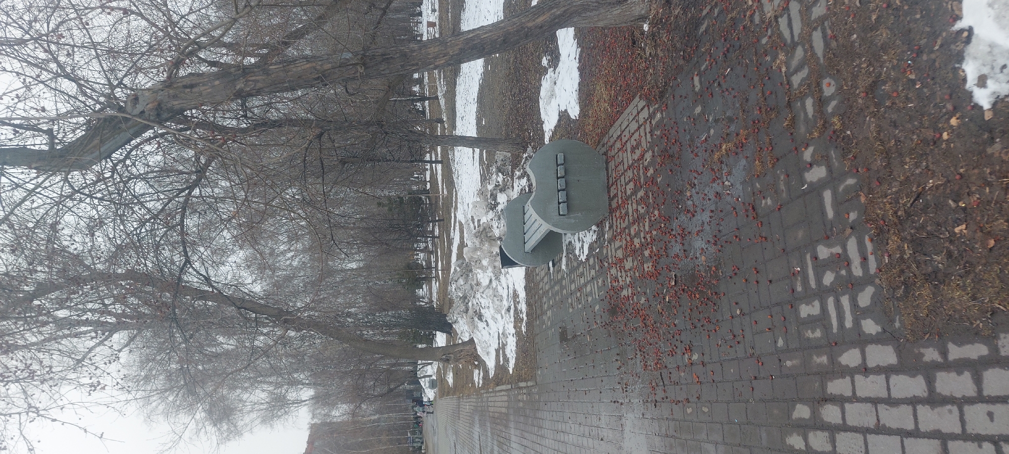 The image shows a park in Novosibirsk, Russia, on a winter day. A paved walkway lined with bare trees is visible. A modern concrete bench sits beside the walkway. Snow is present on the ground and in patches along the walkway's edge. Small red berries or seeds are scattered on the walkway. In the distance, silhouettes of people can be seen walking.
