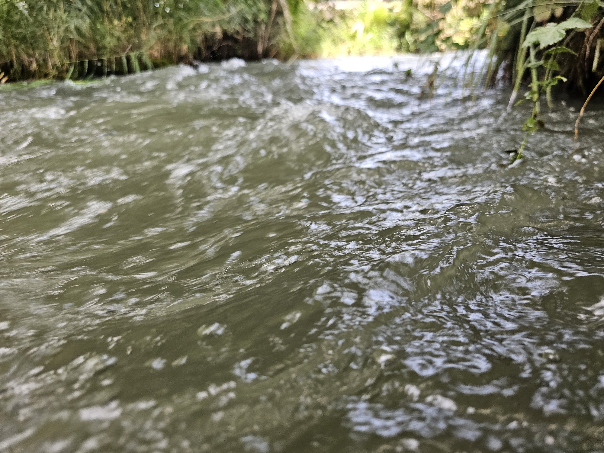 The image depicts a close-up view of a shallow, flowing stream or river. The water is a murky green-brown color, with visible ripples and small waves indicating movement. Sunlight reflects off the water's surface in patches, creating highlights. Along the left and right banks, dense green vegetation, likely grass and reeds, grows. The background is blurred but suggests a natural, outdoor environment with more foliage and possibly trees. There are no people or man-made structures visible in the frame. The location is identified as Özgön, Kyrgyzstan.