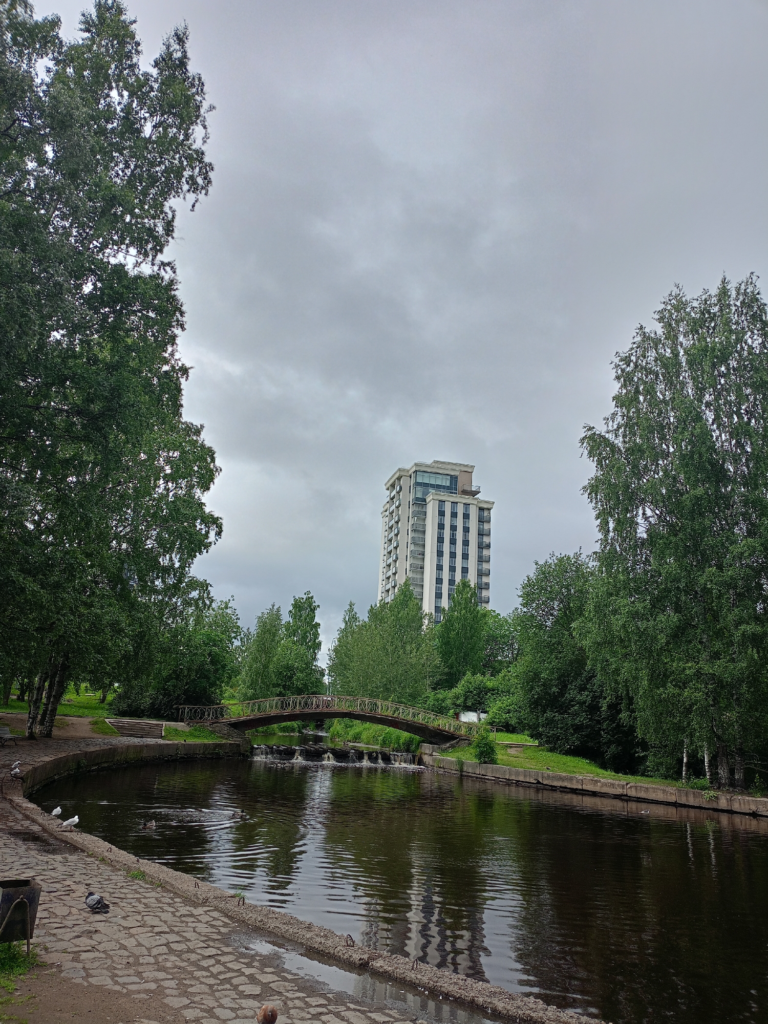 The image shows a park scene with a wide, dark body of water in the foreground. A paved walkway lines the edge of the water. To the left, there is a trash can and several birds, including pigeons and seagulls. Across the water, a small, arched bridge spans a channel with a series of small waterfalls. Beyond the bridge and the lush green trees, a tall, modern building with many windows stands against a cloudy sky. The overall atmosphere is overcast and the environment appears to be a city park.