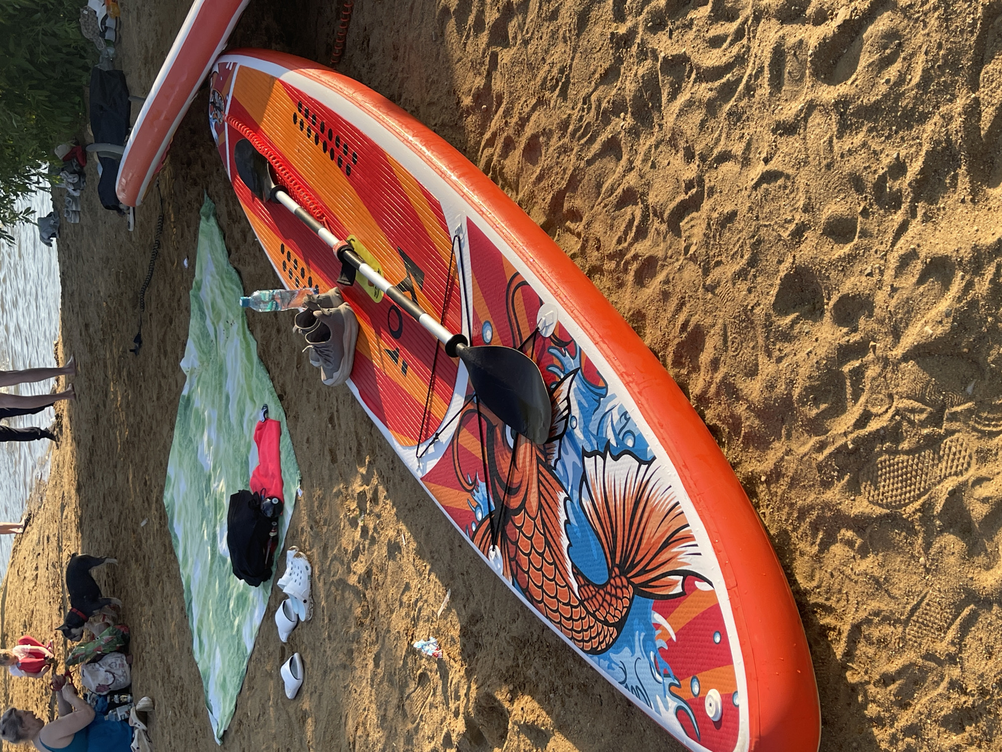 The image depicts a sandy beach scene adjacent to a calm body of water, likely a river or lake, under the warm light of what appears to be late afternoon or early evening.
In the immediate foreground, an orange and red inflatable stand-up paddleboard (SUP) rests on the sand. The SUP features a prominent graphic of a stylized koi fish in shades of orange, blue, and white on its front section. A black paddle with a silver shaft is laid across the board. A pair of grey athletic shoes and a clear plastic water bottle are placed on the SUP's deck. To the right, the edge of a second, partially visible orange and white inflatable paddleboard is on the sand. The sandy surface shows numerous footprints from various footwear and what appear to be paw prints.
In the midground to the left, a light green patterned beach blanket is spread on the sand. A black bag and a bright pink item of clothing are positioned on the blanket. White slide sandals and white Crocs are placed on the sand next to the blanket. A woman in a blue dress sits on the sand, engaged with items near a bag. Adjacent to her, a small dark-colored dog, possibly a French Bulldog, with a red collar, stands on the sand, looking towards the water. Further back, another person in red pants sits on the sand.
In the midground to the right, near the water's edge and some green foliage, multiple pairs of shoes and dark bags are situated on the sand. The background reveals the body of water with subtle reflections. Several people are visible at the water's edge; one pair of legs is partially submerged or standing very close to the water, and another person in dark attire stands nearby. Green vegetation is present along the distant bank or shoreline.
Regarding the specific location in Moscow, Russia, the image lacks discernible landmarks or identifying features that would allow for a precise determination of the beach or riverside area. Therefore, an exact location within Moscow cannot be identified from the visual information provided.