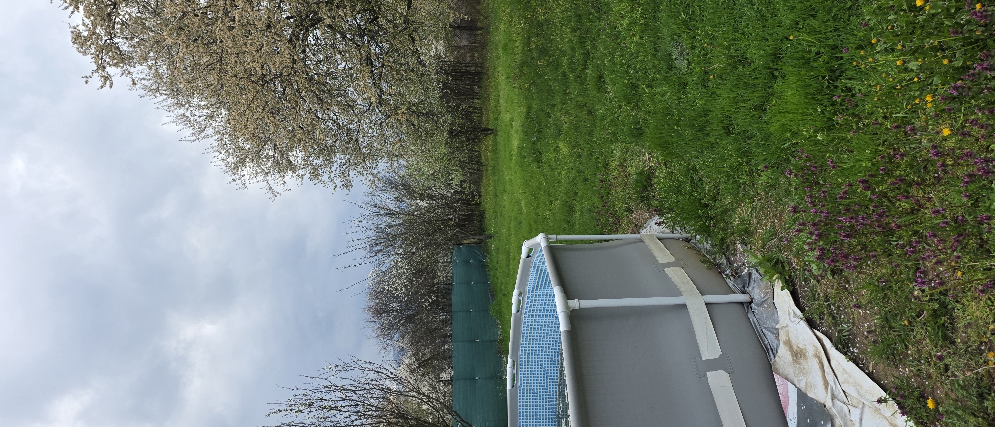 The image depicts an above-ground swimming pool situated in a yard. The pool is gray with a blue tiled interior pattern visible. A white frame supports the pool. The yard is grassy, with areas of green lawn and patches of mixed grass with purple and yellow wildflowers. Trees line the background. A green mesh fence is visible behind the pool. The sky is overcast with gray clouds. The location is Novachene, Bulgaria.