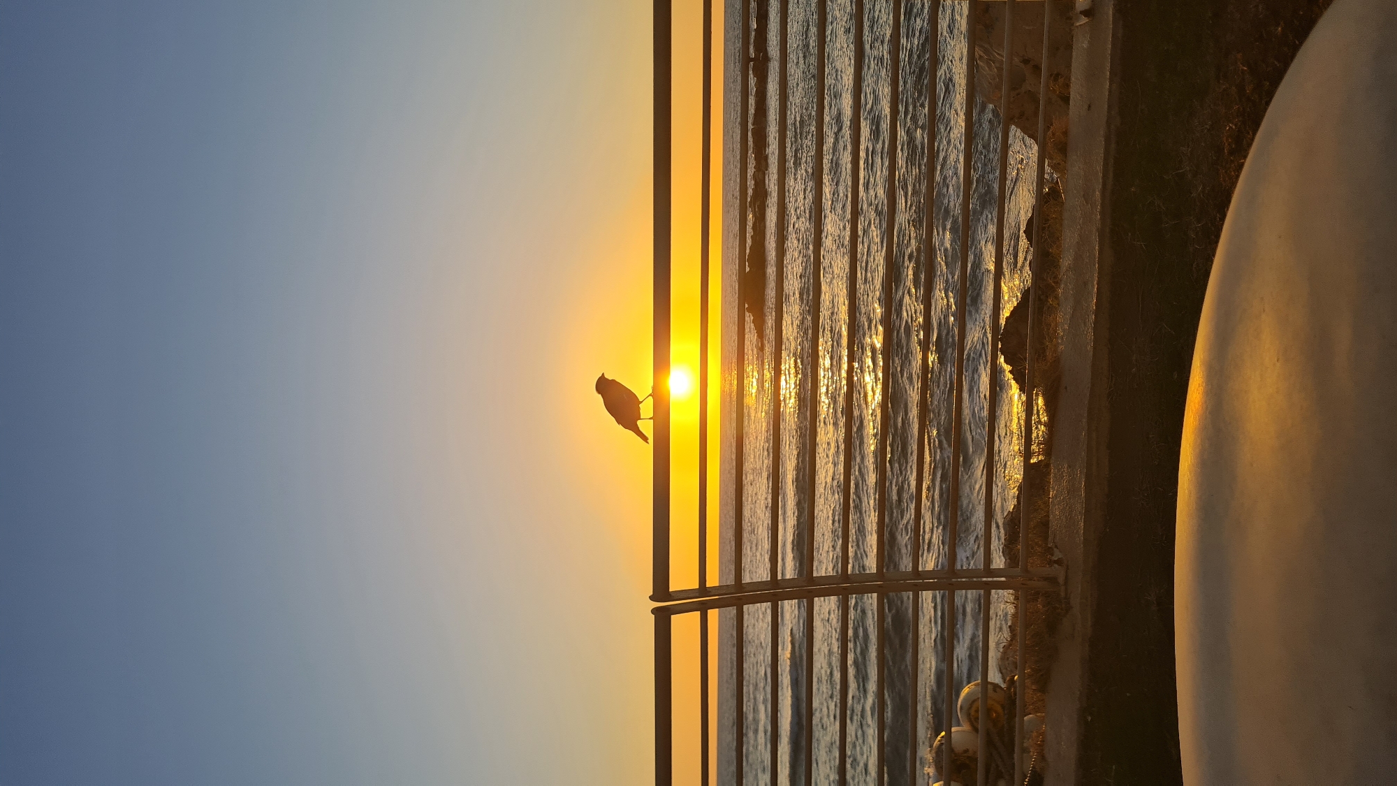 A bird is silhouetted against the setting sun, perched on a metal railing overlooking the Mediterranean Sea. The railing is constructed of vertical and horizontal bars. The sea reflects the golden sunlight, creating shimmering patterns on the water's surface. The sky transitions from a pale blue to a warm orange near the horizon. The location is Nahariyya, Israel.
