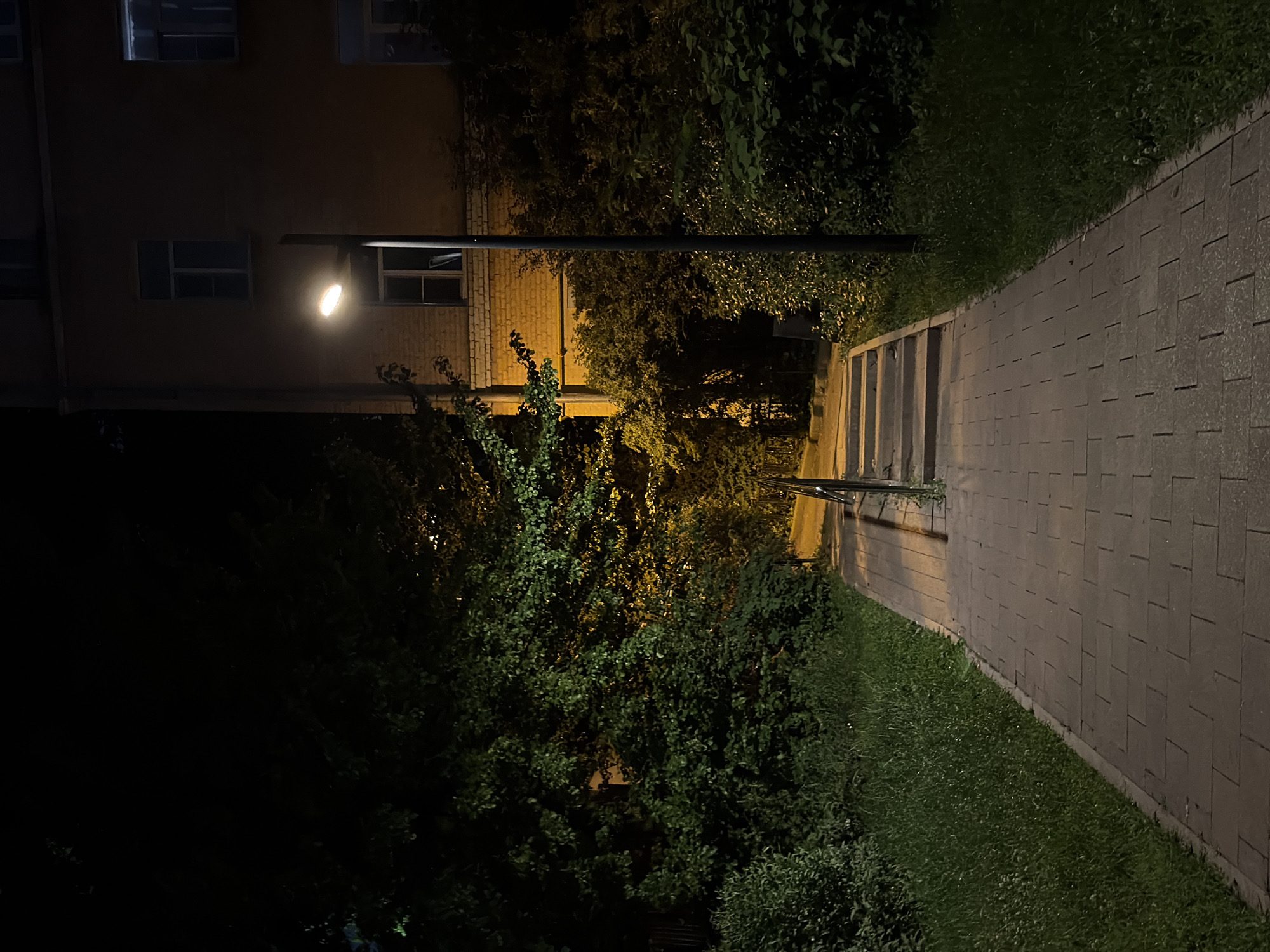 This is a nighttime, eye-level, full shot of a paved walkway leading up a short flight of stairs in an urban setting. The walkway is constructed of rectangular stone pavers and is bordered on the left by a strip of green grass and on the right by dense, dark green foliage. A metal handrail runs alongside the stairs. To the right of the walkway and stairs, a tall, dark lamppost with a lit bulb illuminates the immediate area. In the background, a multi-story building with brick-like cladding is visible. Several windows with light visible inside are present on the building's facade. The building's color is a muted orange-brown, and its upper floors are partially obscured by the darkness of the night. The surrounding vegetation is lush and appears to be trees and shrubs. The scene suggests a residential area or a public park space, likely in Moscow, Russia, given the architectural style of the building and the presence of the specific type of streetlamp. There are no people visible in the frame.