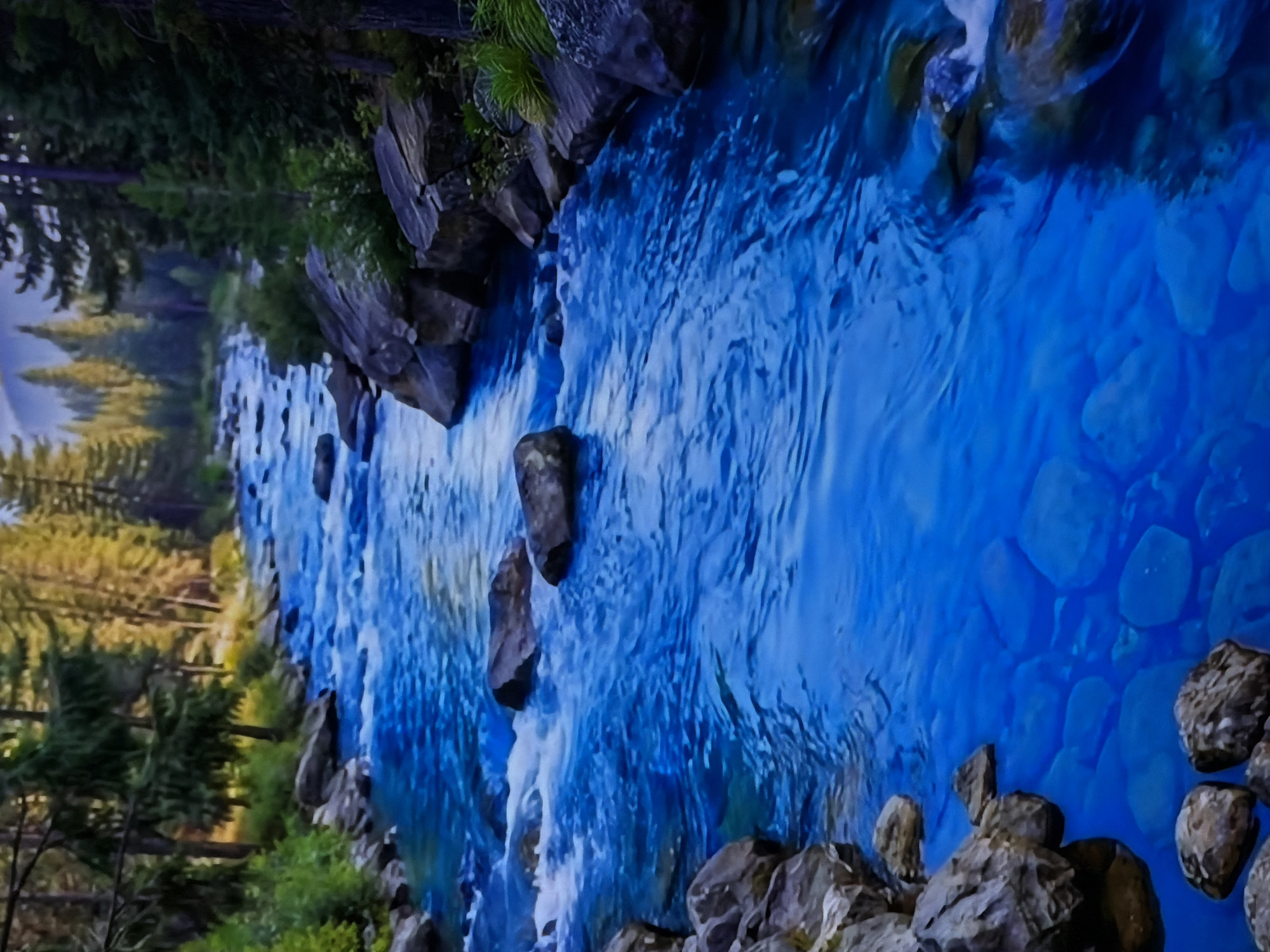 A vivid landscape scene features a clear, intensely blue river flowing through a forested environment. The image, oriented horizontally, captures the river as it winds from the background toward the foreground. The water exhibits varying shades of luminous blue, with lighter areas indicating shallow depths and visible riverbed rocks, and darker areas suggesting deeper sections. Ripples, currents, and some foamy white patches are visible on the water's surface, particularly where it interacts with submerged and partially exposed rocks.
Numerous rocks of various sizes are scattered along the riverbanks and within the river itself, forming natural obstacles that shape the water's flow. The banks are richly vegetated with lush green foliage, including grasses and shrubs, contrasting with the dark hues of the rocks. Tall evergreen trees, predominantly conifers, line both sides of the river, creating a dense forest backdrop. Some trees in the distance display a yellowish-green hue, possibly hinting at different species or seasonal changes.
The scene depicts a natural, untamed setting, likely during daytime under clear weather conditions, though the lighting gives a slightly artificial or enhanced feel to the vibrant colors. No human activity, structures, or visible text are present. The overall impression is one of serene natural beauty, with a focus on the clarity and striking color of the river water amidst the surrounding greenery and rocks.