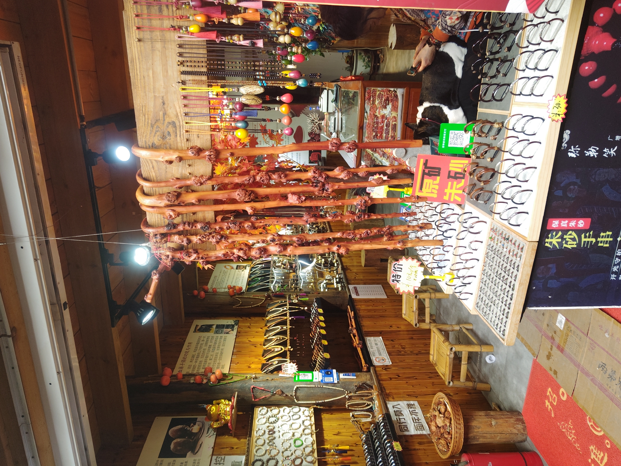 Here is a detailed description of the image:
**General Scene:**
The image captures the interior of a wooden-themed shop located in Shapingba District, China. The store appears to sell a variety of handicrafts, jewelry, and accessories.
**Subjects and Objects:**
* **Handicrafts and Jewelry:** The shop displays an array of items, including wooden walking sticks, necklaces with beaded and tasseled pendants, bracelets made of jade or other materials, and rings. There are glasses on display on a table next to the other products.
* **Displays:** The items are showcased on wooden shelves and displays of varying heights, utilizing vertical space effectively.
* **Wooden Decor:** The shop's walls and ceiling are clad in wood, giving it a rustic and traditional ambiance.
* **Signage:** Several signs are visible, some displaying prices or product information in Chinese characters. One sign includes the phrases "同行莫入" and "面斥不雅", which could be translated to "No peers allowed" and "Don't be uncivil/offensive," respectively. Another sign states "特价" which means "special price".
* **Furnishings:** There are small bamboo stools and baskets around the shop.
* **Lighting:** The shop is lit by spotlight-style lamps.
* **Other Items:** There is a QR code, a fire extinguisher, and a box visible in the bottom right corner.
**Actions and Interactions:**
* **Retail Setting:** It appears that a customer might be browsing the items, with a dog sitting near the display table.
**Environment:**
* **Shapingba District, China:** Based on signage, the shop is located in this district of China.
* **Traditional/Rustic Style:** The shop's interior is designed to evoke a traditional and rustic atmosphere, possibly catering to tourists or those interested in local crafts.
**Forensic Details:**
* **Lighting Conditions:** The lighting is somewhat uneven, with some areas brighter than others.
* **Material Details:** The items are crafted from a variety of materials, including wood, beads, jade, and other gemstones or minerals.
* **Signage Details:** Signs provide pricing and warnings to competitors, and appear to use both traditional and simplified Chinese characters.