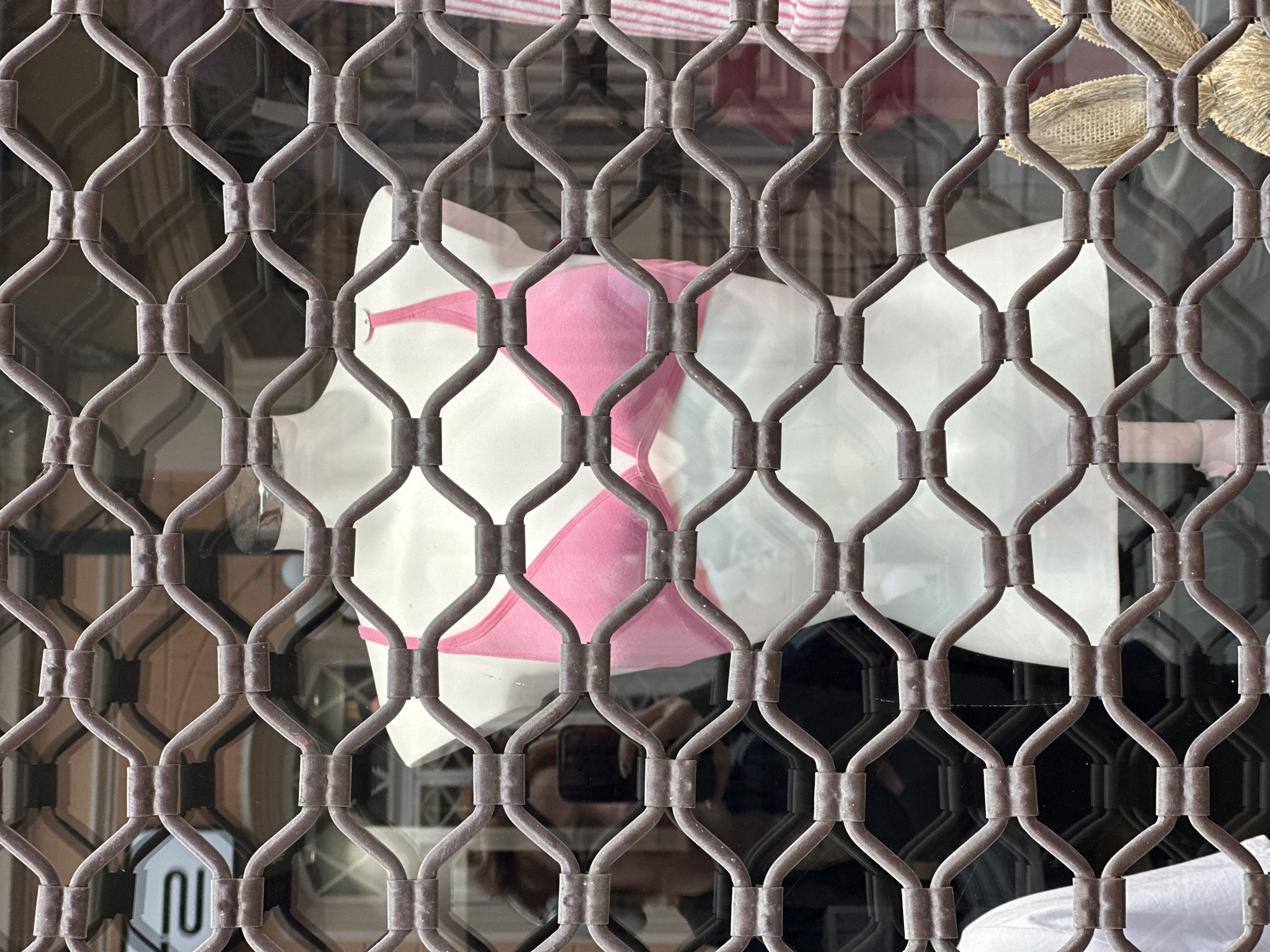 The image depicts a shop window display in Novi Sad, Serbia, seen through a metal security gate. The display includes a pink bra on a mannequin, along with a white garment or display item. The reflection of the photographer is faintly visible in the glass. Other items in the window include a striped garment and a straw hat or decoration. The security gate features a diamond-shaped lattice pattern with cylindrical joints.