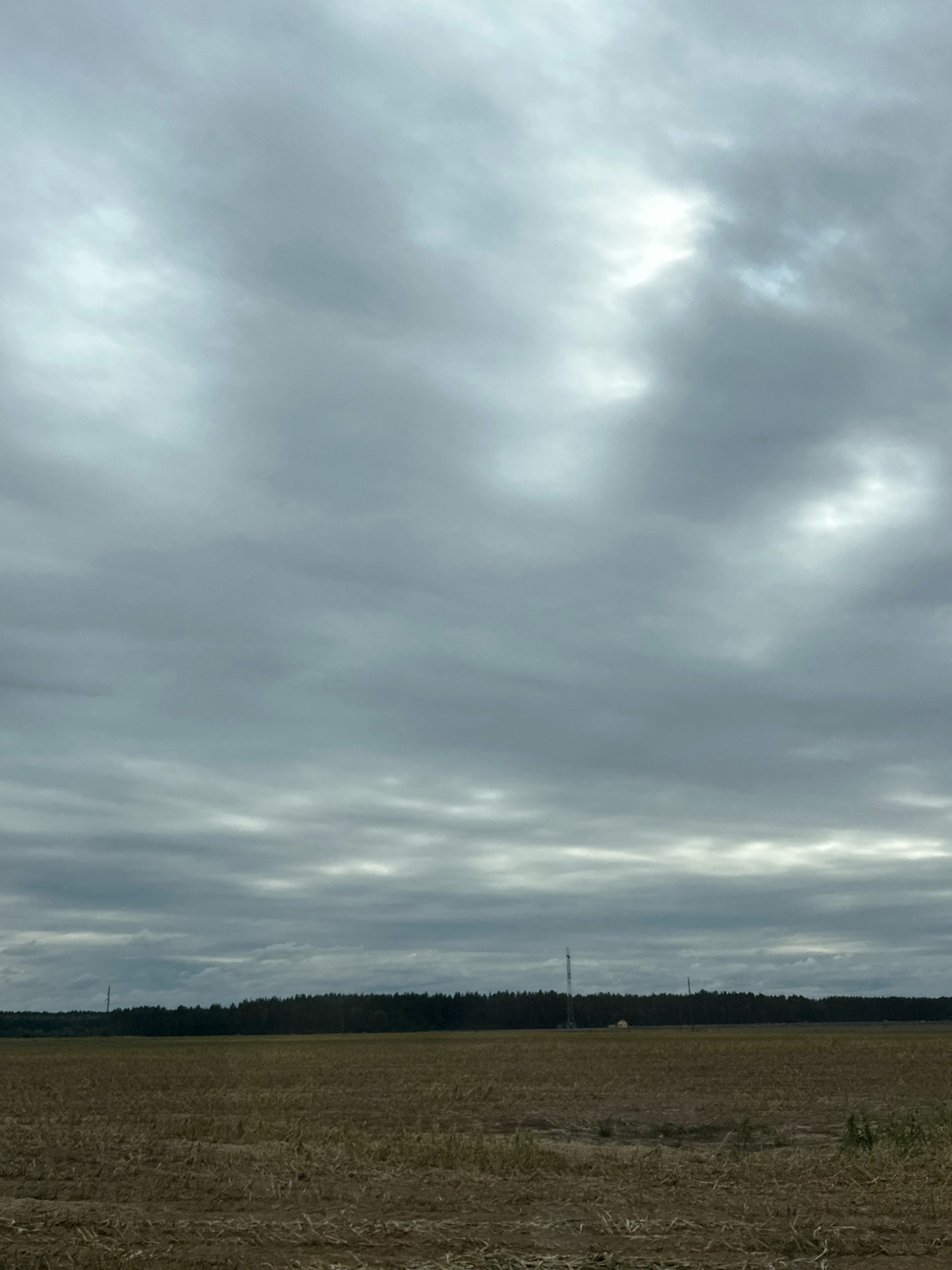 An overcast sky fills the majority of the frame above a harvested agricultural field. The field appears dry and stubbly, with visible remnants of crops. A dense line of dark green trees forms the horizon, separating the field from the sky. A tall, slender transmission tower stands prominently to the left of the tree line, with a smaller, similar structure visible further to the right. The overall atmosphere is somber due to the cloudy conditions.