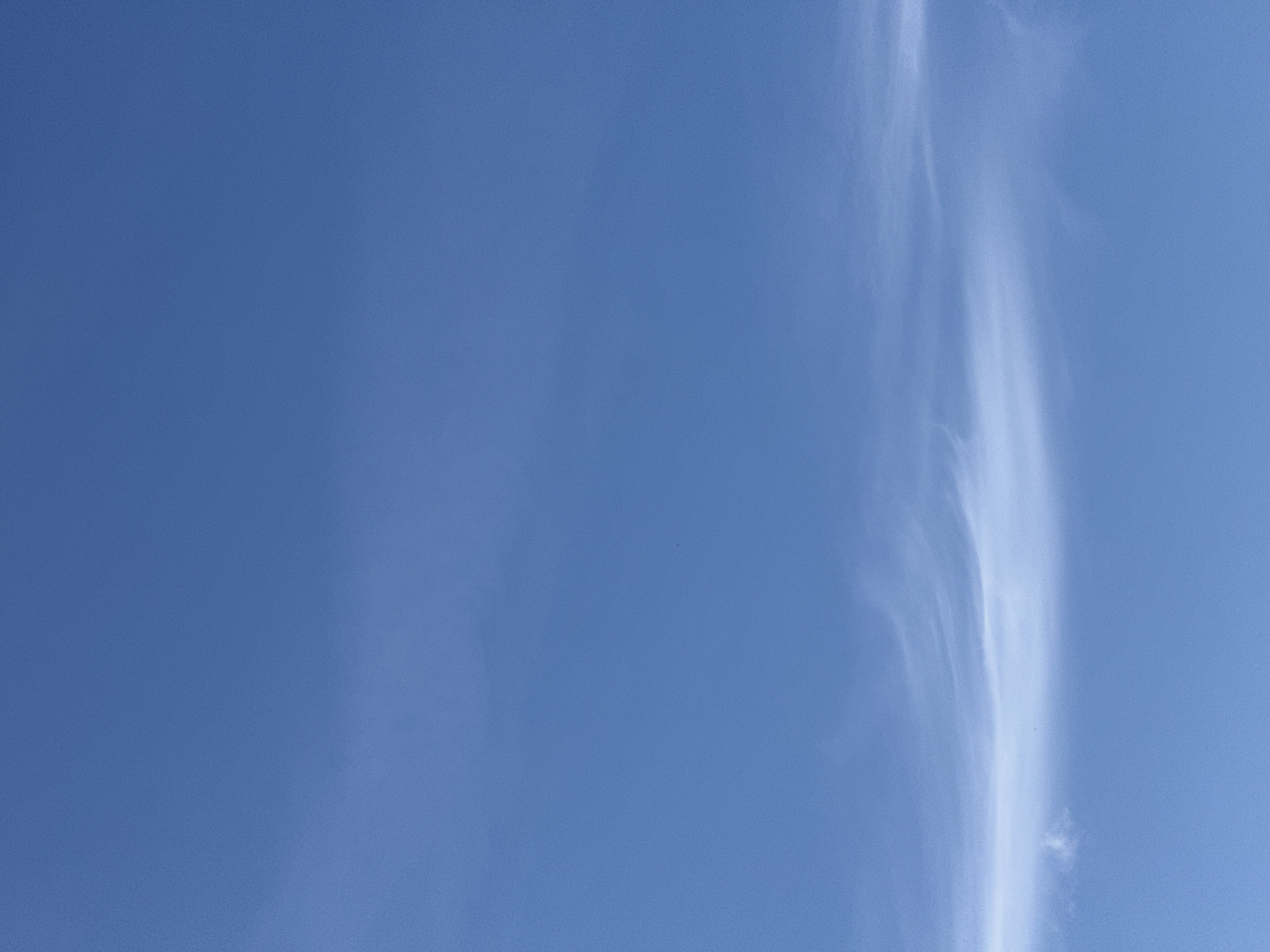 The image depicts a clear blue sky with wispy white clouds forming a horizontal band across the lower portion of the frame. The clouds are thin and elongated, suggesting they are high-altitude cirrus clouds. There are no discernible objects or human activity visible in the sky, making it a serene and minimalist depiction of the atmosphere. The scene is characteristic of a bright day. The context of Sof'ino, Russia, suggests this is an outdoor scene under an open sky.