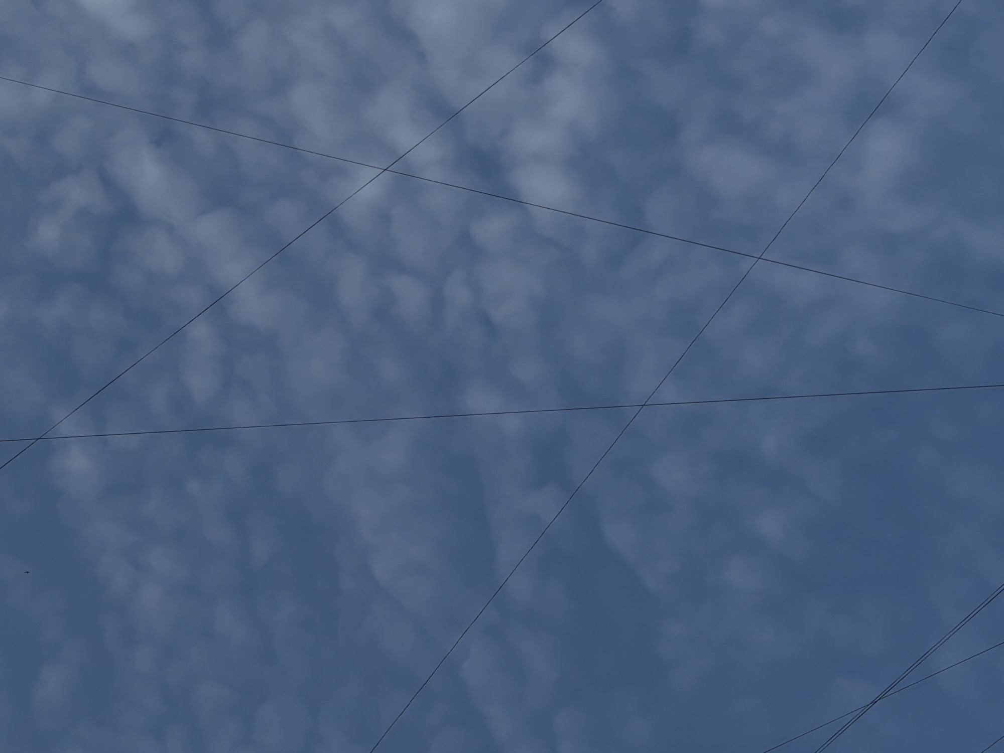 The image captures a segment of the sky filled with a dappled pattern of white clouds against a deep blue backdrop. Several thin, dark lines, likely utility wires, crisscross the frame at various angles. In the upper left portion of the image, a small, dark object, possibly a bird or a distant aircraft, is visible against the clouds. The perspective suggests the photograph was taken from ground level, looking upwards. There are no discernible landmarks or architectural features to indicate a specific location within Moscow, Russia. The scene is devoid of human presence or any explicit activity.