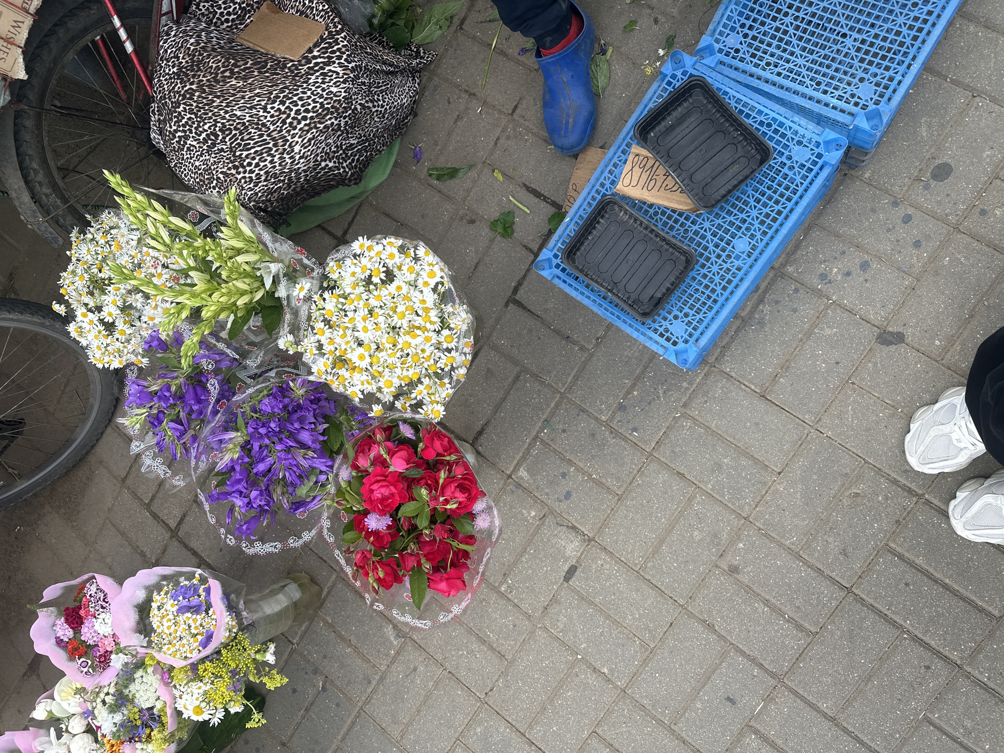 An overhead shot shows a variety of items laid out on a paved sidewalk. In the upper left corner, a bicycle wheel is visible, next to a folded leopard-print fabric. To the right of the fabric are several bouquets of flowers. One bouquet contains white daisies with yellow centers, another is made of purple bell-shaped flowers, and a third features red roses. Below these, more flower arrangements are visible, including one with pink and white flowers.
On the right side of the frame, two blue plastic crates are stacked, with two black plastic containers placed inside one of them. A piece of cardboard with handwritten numbers in black marker is visible under the containers. A person's legs are visible at the top right, wearing a blue boot and red socks. In the bottom right corner, a person's feet are visible, wearing white athletic shoes.
The scene appears to be an outdoor market or street vendor setup, likely in Krasnogorsk, Russia, given the context. The lighting suggests it is daytime. The ground is paved with rectangular gray bricks. The overall impression is a snapshot of goods being sold, possibly flowers, on a pedestrian walkway.