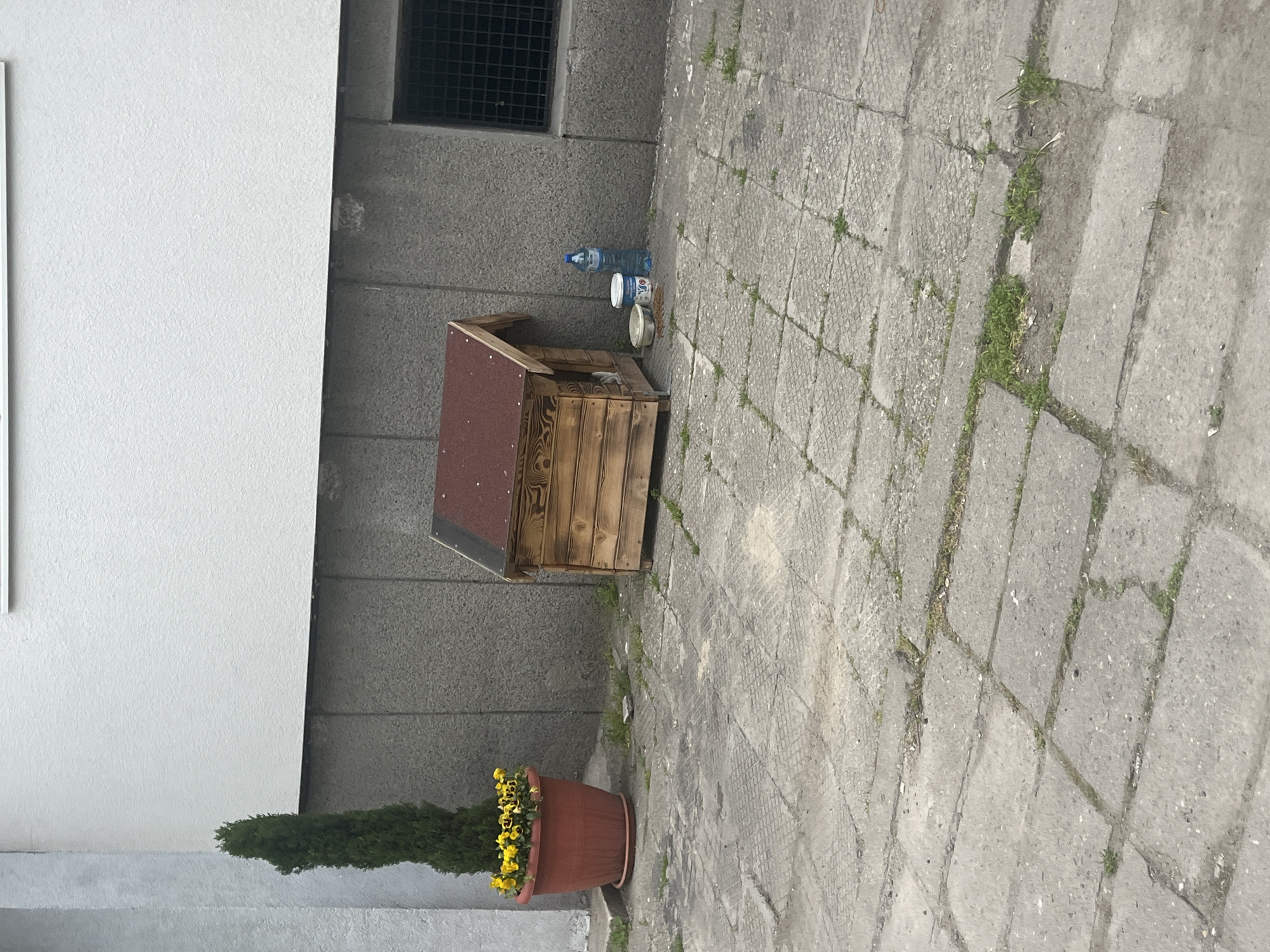 The image depicts a section of urban space in Plovdiv, Bulgaria. A wooden dog house with a red roof is positioned near a white and gray building wall. Next to the dog house are a plastic water bottle and two bowls, likely for food and water. A potted plant with green foliage and yellow flowers sits at the base of the wall. The ground is paved with gray concrete blocks, with grass growing in the cracks. The scene appears to be a public area, possibly a sidewalk or courtyard. There are no people visible in the image.