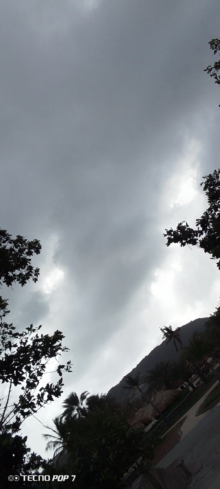 This media file captures an outdoor landscape under heavily overcast skies, suggesting a somber or impending weather event, possibly rain. The dominant feature is the sky, filled with thick, dark grey clouds that cover almost the entire upper two-thirds of the image. Some lighter, brighter patches of white cloud are visible, breaking through the dense grey.
The scene is framed by dark silhouettes of foliage on the left and upper right, appearing as tropical or semi-tropical trees, including discernible palm fronds. A large, dark mountain range rises in the background on the right side, partially obscured by clouds and foreground trees.
In the lower right portion of the image, hints of human presence are visible amidst the natural landscape. These include what appear to be thatched roofs, possibly belonging to palapas or cabanas, and a paved area or road with a reflective surface, possibly a puddle, indicating recent rainfall or wet conditions. No people are visible in the image, and no specific activity or event is taking place; the photo depicts a static natural scene.
The lighting is dim and diffused due to the heavy cloud cover, making it difficult to ascertain the exact time of day, though it suggests a period without direct sunlight. The overall impression is one of a moody, pre-storm or post-storm atmosphere, consistent with a tropical location like Pedro González, Venezuela, known for its mountains and coastal vegetation.
A watermark with the text "TECNO POP 7" is visible in the bottom left corner, indicating the device used to capture the image.