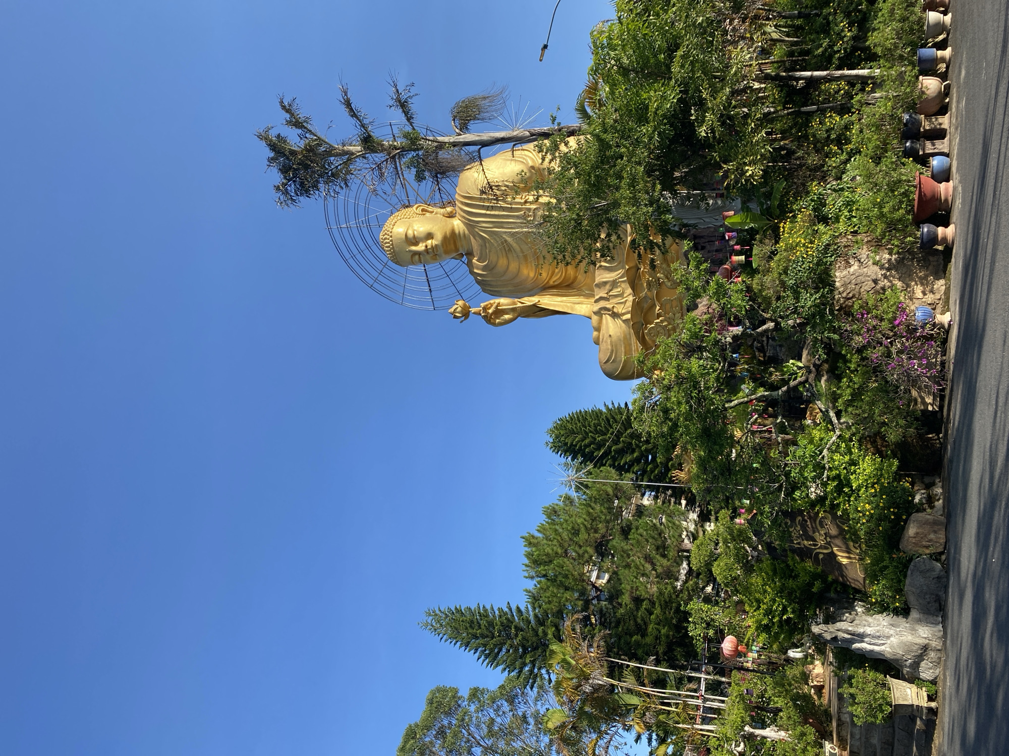 A gold-colored Buddha statue, visible from the waist up, stands outdoors with a clear, bright blue sky as its backdrop. A circular wire structure surrounds the Buddha’s head. The statue is flanked by lush trees and vegetation. A concrete road is to the right, with ceramic flower pots lined up on the curb. The location is in the city of Lâm Viên - Đà Lạt, Vietnam.