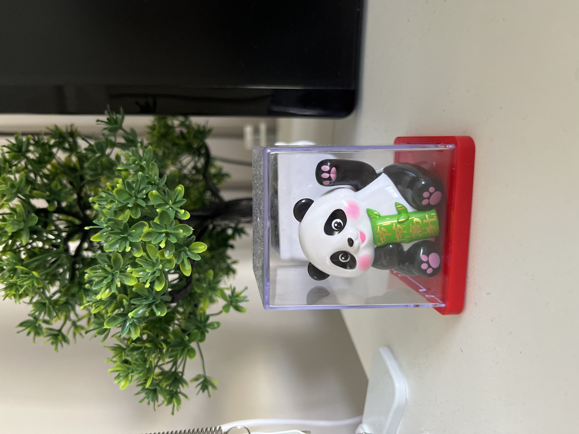 A close-up, slightly rotated image shows a small faux bonsai tree to the left of a panda figurine encased in a clear plastic box with a red base. The panda is holding a green bamboo stalk. The objects are on a white surface near a black electronic device. The location is not evident from the image, and it is not possible to confirm the image location is Varna, Bulgaria.