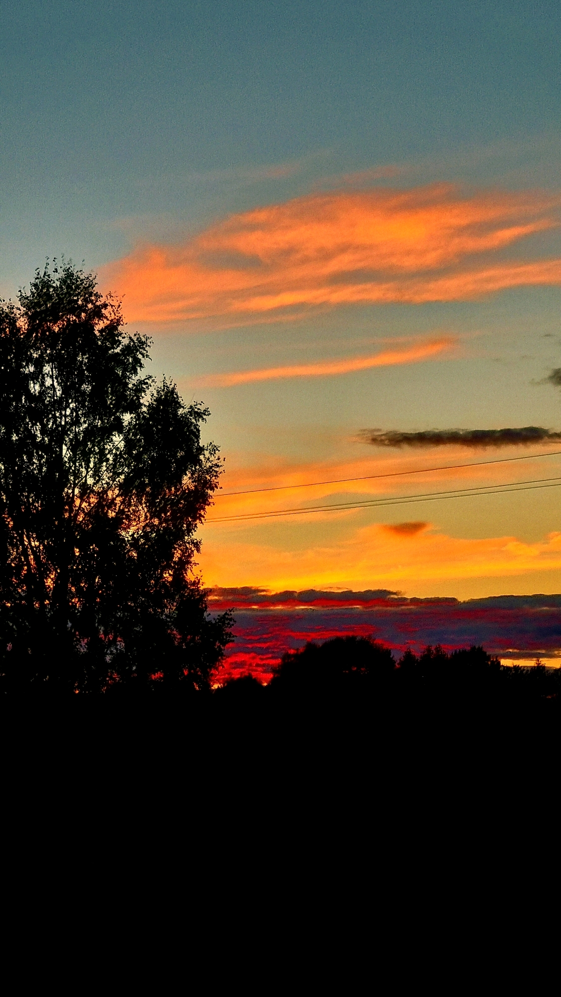 A vertical, low-angle shot captures a dramatic sunset over a silhouetted landscape. The sky transitions from a pale blue at the top to fiery oranges and reds near the horizon. Wispy, elongated clouds are illuminated by the setting sun, creating streaks of vibrant color. The lower portion of the image is dominated by the dark silhouettes of trees and foliage, with a single, larger tree on the left and a line of denser trees across the horizon. A few thin utility lines stretch horizontally across the middle ground of the image. The overall impression is one of serene, natural beauty at dusk. The location is unknown.