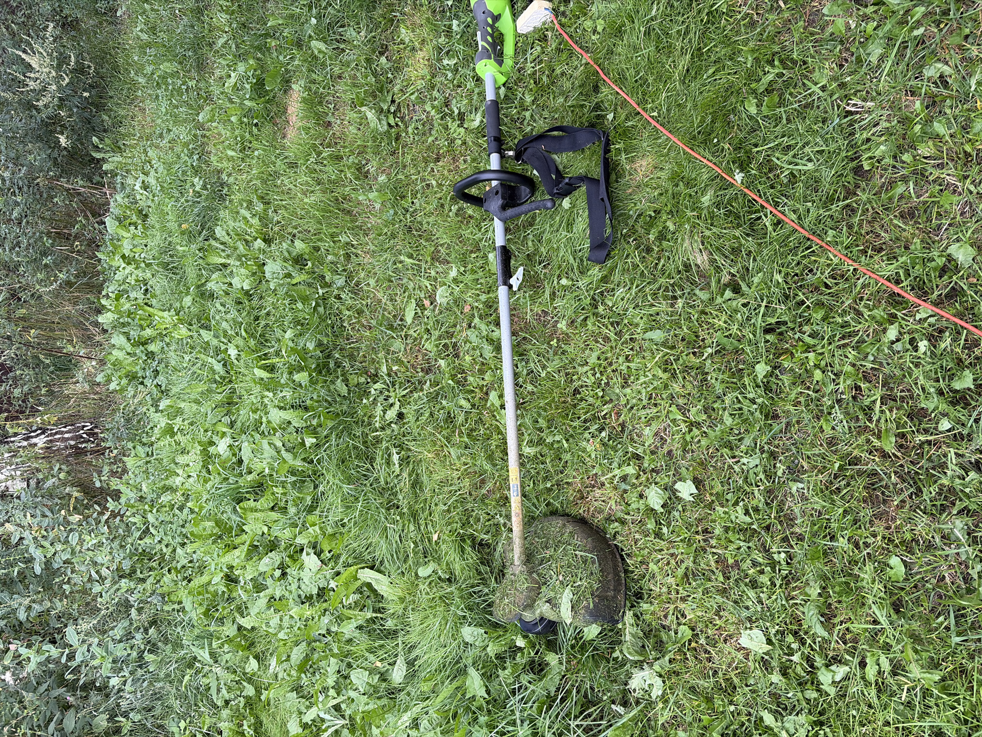 The image depicts an outdoor scene with overgrown grass and weeds. A string trimmer with a green and gray body and a black handle lies on the ground. The trimmer's head is partially covered in grass clippings. A red cord extends from the trimmer and stretches across the grass. In the background, there are trees and more vegetation, suggesting a natural or unkempt area. The image does not provide any specific visual information that would allow for identification of the location within the city of Belaya, Russia.