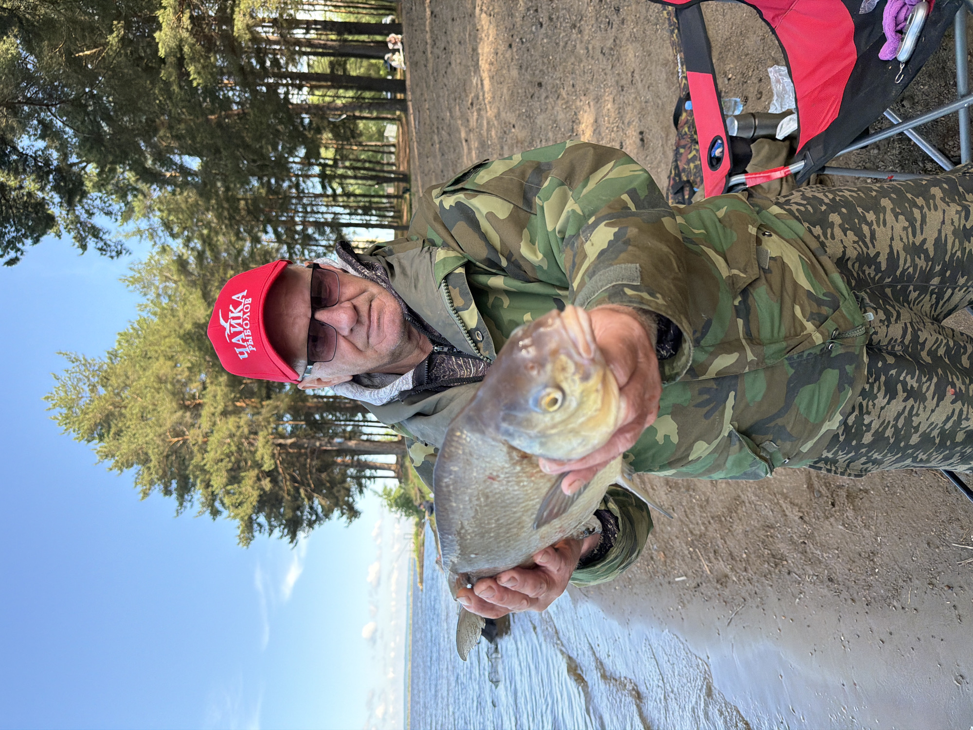 A man is captured in a portrait-style shot, holding a fish by a body of water under a clear blue sky. He appears to be middle-aged or older, wearing a red baseball cap and dark sunglasses. His attire consists of camouflage patterned clothing, specifically a jacket and matching pants, suggesting he is dressed for outdoor activities like fishing. He holds a large, silvery-brown fish, possibly a bream, firmly with both hands, presenting it towards the camera.
The setting is outdoors, likely on the sandy or dirt bank of a lake or large river, consistent with the location context of Chaikovsky, Russia, which is situated on the Kama River reservoir. Tall, coniferous trees, possibly pines, line the distant shore, and their green foliage contrasts with the bright sky. A red and black camping chair is partially visible to the man's right, suggesting a prepared fishing spot. The time of day appears to be sunny, with clear weather.
Visible text on the man's red cap is in Cyrillic. The top line reads "ЧАЙКА" (Chaika), which translates to "Seagull". The bottom line reads "РЫБОЛОВ" (Rybolov), meaning "Fisherman". Together, "Chaika Rybolov" could denote a fishing club, brand, or simply "Seagull Fisherman." The man's posture and direct gaze indicate a sense of pride or satisfaction with his catch.