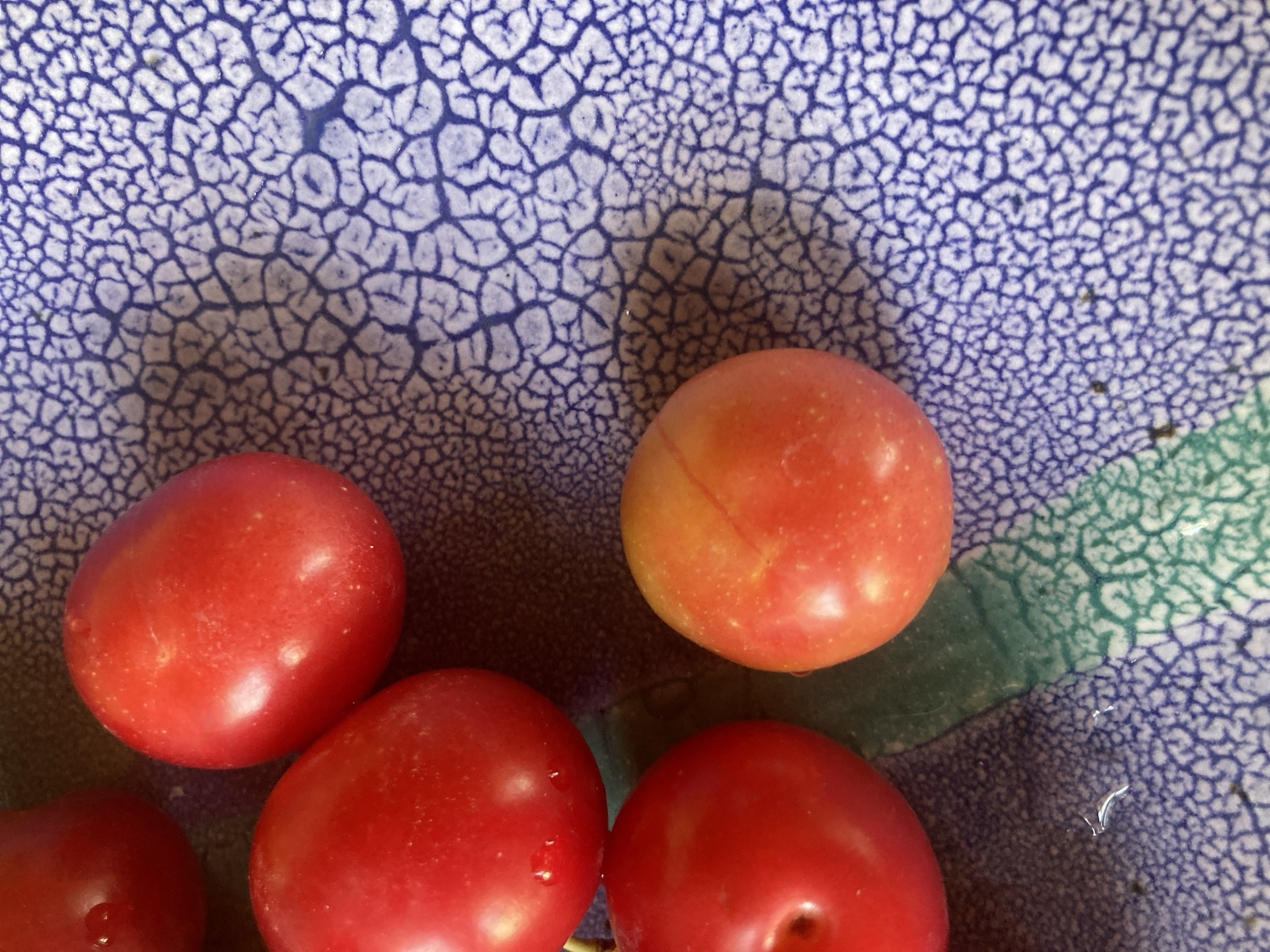 A close-up, overhead shot shows several red plums on a blue and white patterned plate. Three whole plums are visible, along with the upper portion of another. The plums are bright red, with one exhibiting a slightly orangey hue. The plate's pattern is a textured, cracked design in shades of blue and white. A hint of green is visible in the lower left portion of the image, suggesting the plate might have multiple colors or textures. The lighting creates soft shadows around the plums. There are no people or identifiable landmarks present that would indicate a specific location in Avanos İlçe Merkezi, Turkey.