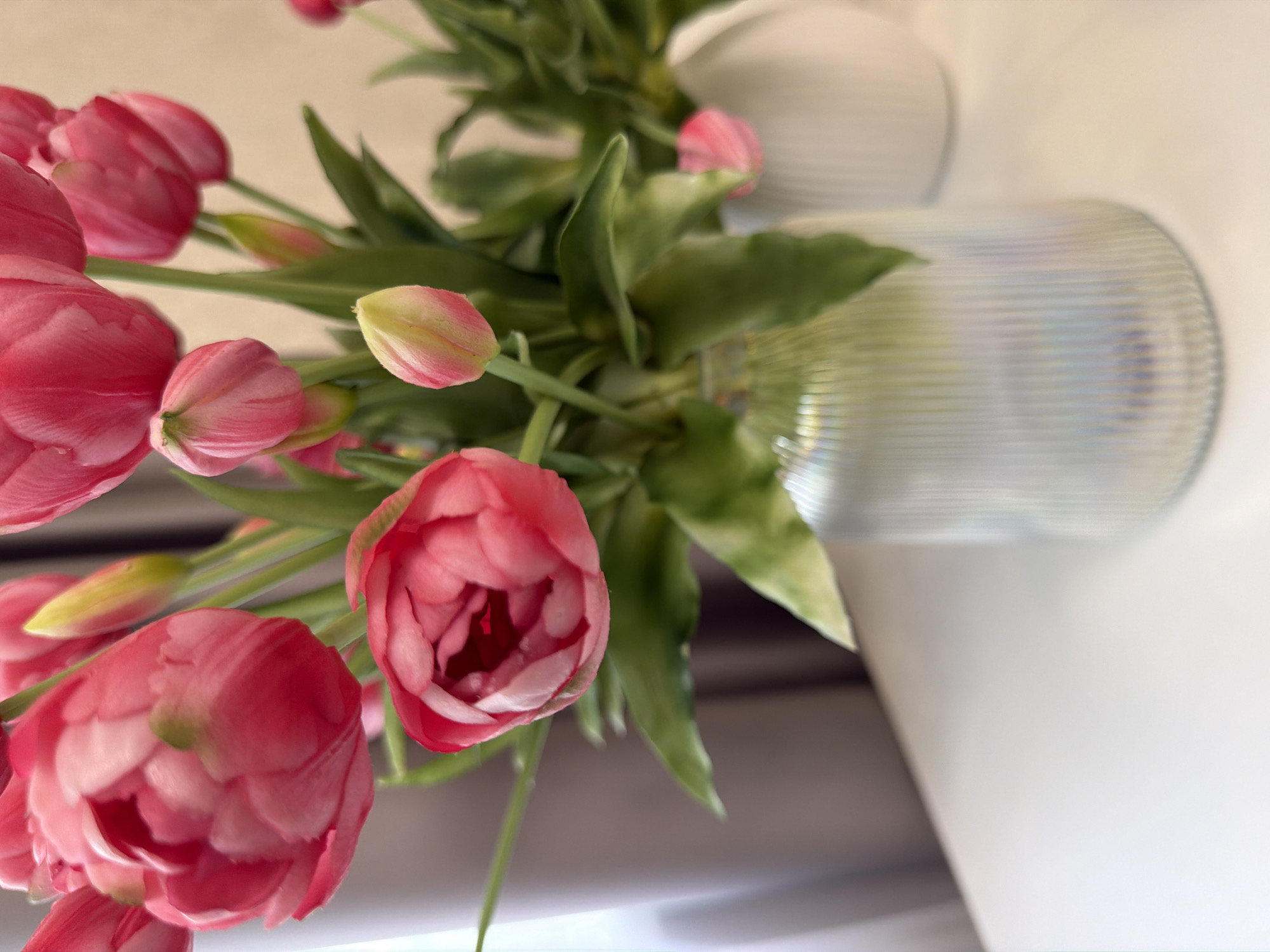 A close-up, overhead shot shows a bouquet of bright pink tulips arranged in a clear, ribbed vase. The tulips are in various stages of bloom, with some fully open and others still tightly budded. Their petals are a vibrant pink with hints of white and yellow, and they are surrounded by lush green leaves. The vase is partially visible on the right side of the frame and has a textured, translucent surface. The background is a soft, neutral color, possibly a wall or a table, with some blurred elements suggesting an indoor setting. The lighting is soft and diffused, casting gentle shadows and highlighting the delicate texture of the petals. There is no visible text in the image. The overall impression is one of natural beauty and freshness.
