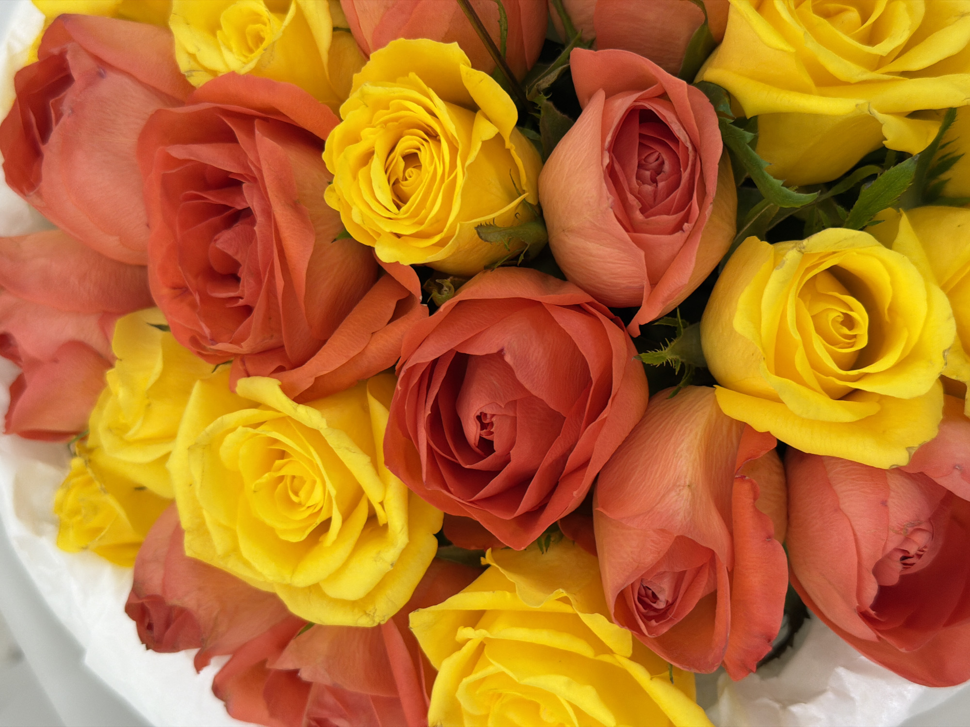 A close-up, overhead shot shows a bouquet of assorted roses. The roses are predominantly in shades of yellow, orange, and red, with some appearing to be coral. The petals are tightly furled in some roses, while others are more open, revealing their intricate centers. Green leaves and stems are visible, adding depth to the arrangement. The bouquet is nestled within white tissue paper. The lighting is bright, illuminating the vibrant colors of the roses.