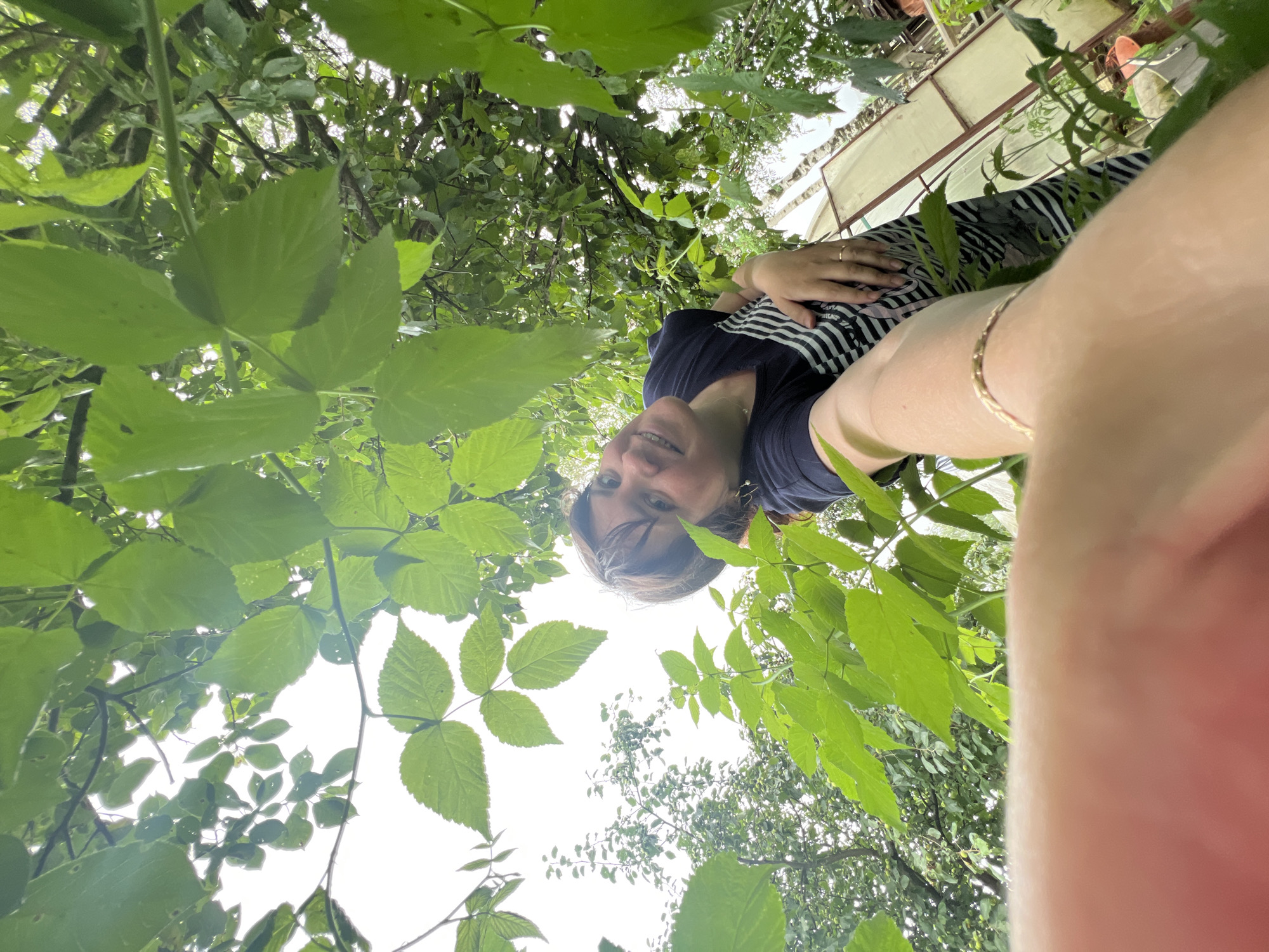The image depicts a low-angle shot taken outdoors, likely in a garden or natural setting within Panteleevka, Russia. The foreground is dominated by vibrant green leaves, suggesting lush vegetation. A person, appearing to be a young woman, is partially visible in the midground, looking towards the camera with a smile. She is wearing a dark t-shirt with a striped pattern. Her left arm is extended, and her hand is out of focus, likely holding the camera. In the background, a greenhouse structure and more foliage are visible, indicating a rural or semi-rural environment. The overall impression is a casual, candid moment captured in a natural, overgrown setting.