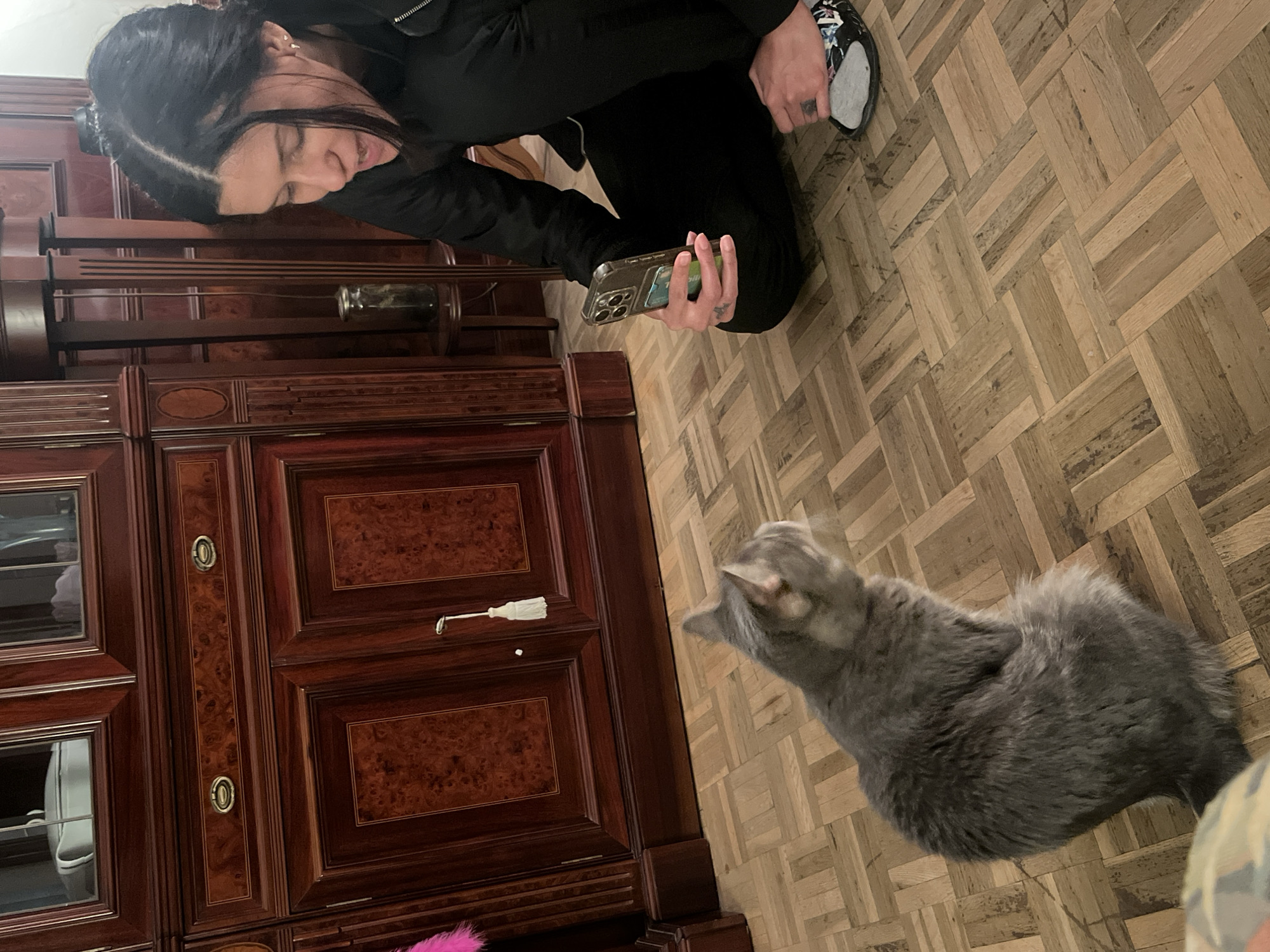 This image, captured indoors in Barcelona, Spain, depicts a person interacting with a cat. A young woman with dark hair, pulled back, is seen crouching or kneeling on the left side of the frame, wearing a black jacket and black pants. She looks downwards towards a grey, fluffy cat. In her right hand, she holds a silver smartphone, suggesting she might be photographing or videoing the animal. A small tattoo is visible on her left hand.
The cat, a domestic short-haired type with solid grey fur, is seated on the right side of the image, attentively looking up at the woman.
The background features a large, dark wooden cabinet or wardrobe, adorned with decorative inlays and brass handles. Some sections of the cabinet have glass panels, revealing objects within, including a glass bottle. A white decorative tassel hangs from one of the cabinet doors. The floor throughout the scene is composed of light-toned wooden parquet, arranged in a herringbone or basketweave pattern. The lighting indicates an indoor setting, likely a home. There is no visible text in the image. The overall mood of the interaction appears calm and focused.
