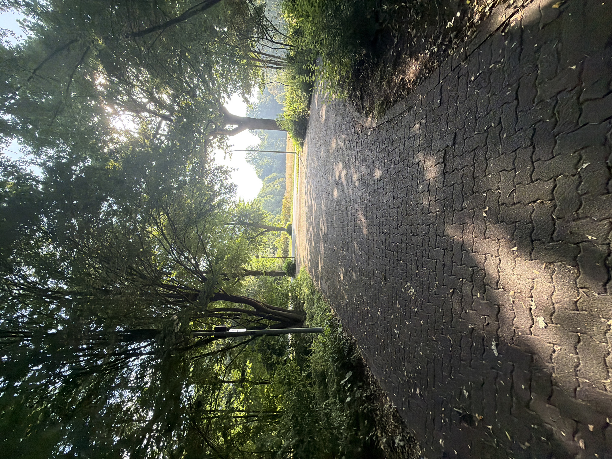 This image depicts a pathway with interlocking pavers, bordered by lush green trees and vegetation. The sun is shining brightly, filtering through the leaves of the trees and casting dappled shadows on the path. The light suggests it is either early morning or late afternoon. The scene appears to be in a park or natural area, possibly a walking trail. There are no people or animals visible in the frame. The path curves gently to the right, leading the viewer's eye towards a bright, sunlit area in the distance where there appears to be a field and more trees. A lamppost is visible on the left side of the path, standing amongst the trees. The overall mood is peaceful and serene, with the natural beauty of the surroundings enhanced by the sunlight. The location context is Dorsten, Germany.