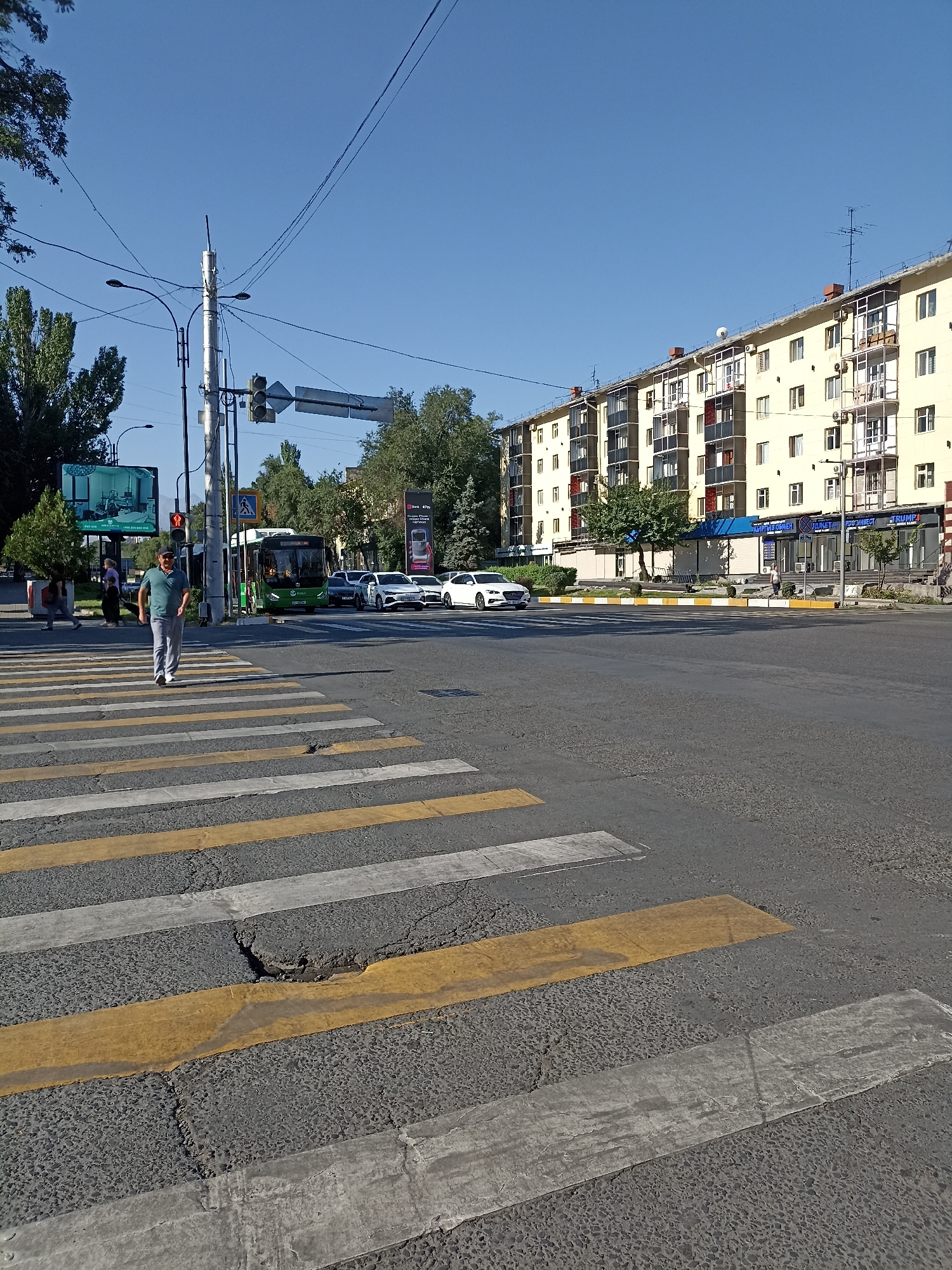 A man in a green polo shirt and grey pants walks across a crosswalk on a sunny day. A green bus and several white cars are stopped at a traffic light. In the background, a yellow apartment building with balconies lines the street, and trees and traffic lights are visible. The scene appears to be an intersection in Bishkek, Kyrgyzstan.