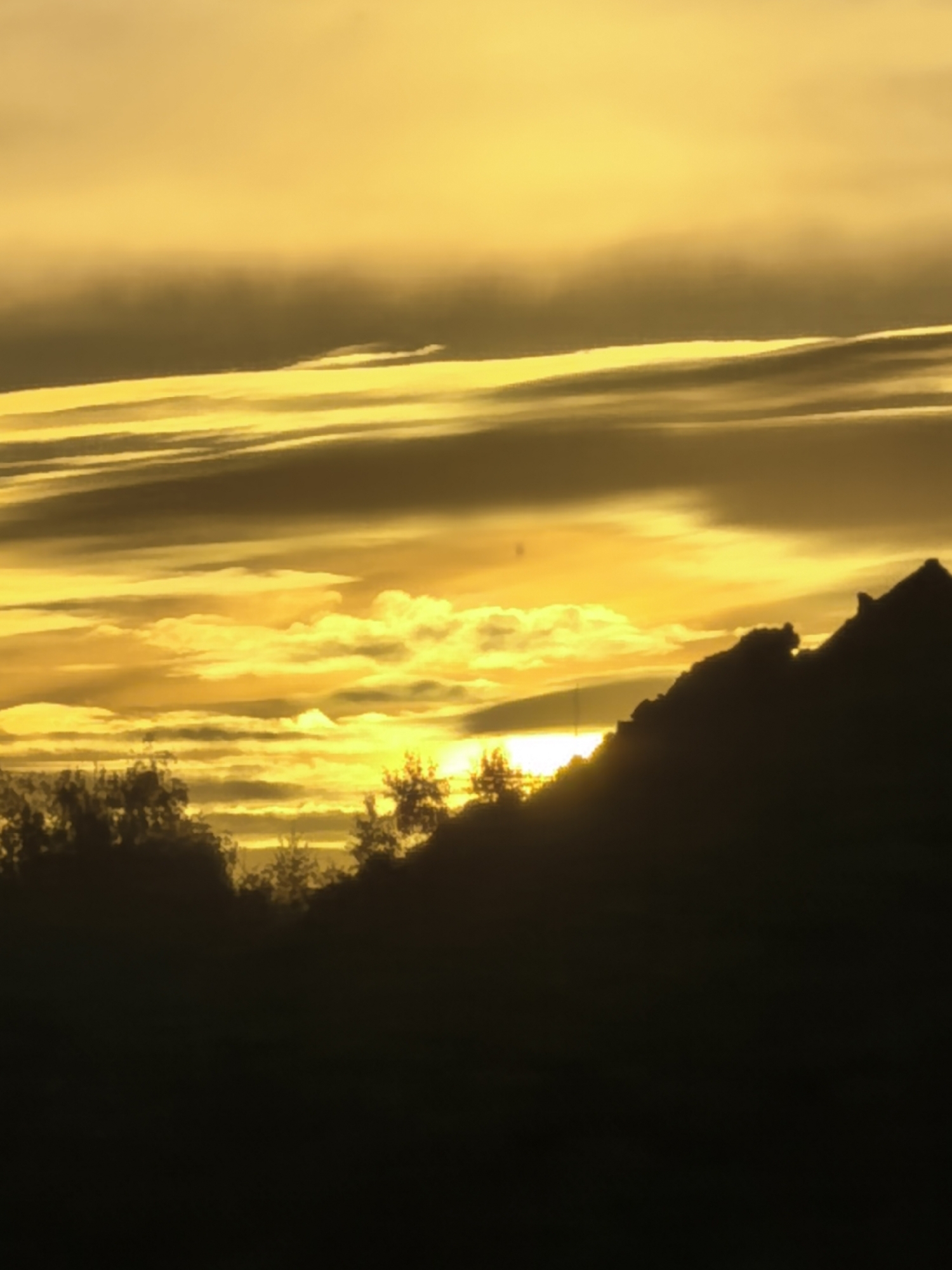 A silhouetted ridge line of trees and a mountain peak is visible against a bright yellow and orange sky. Wispy clouds streak across the sky, illuminated by the setting or rising sun. The foreground is dark, obscuring any ground-level details.