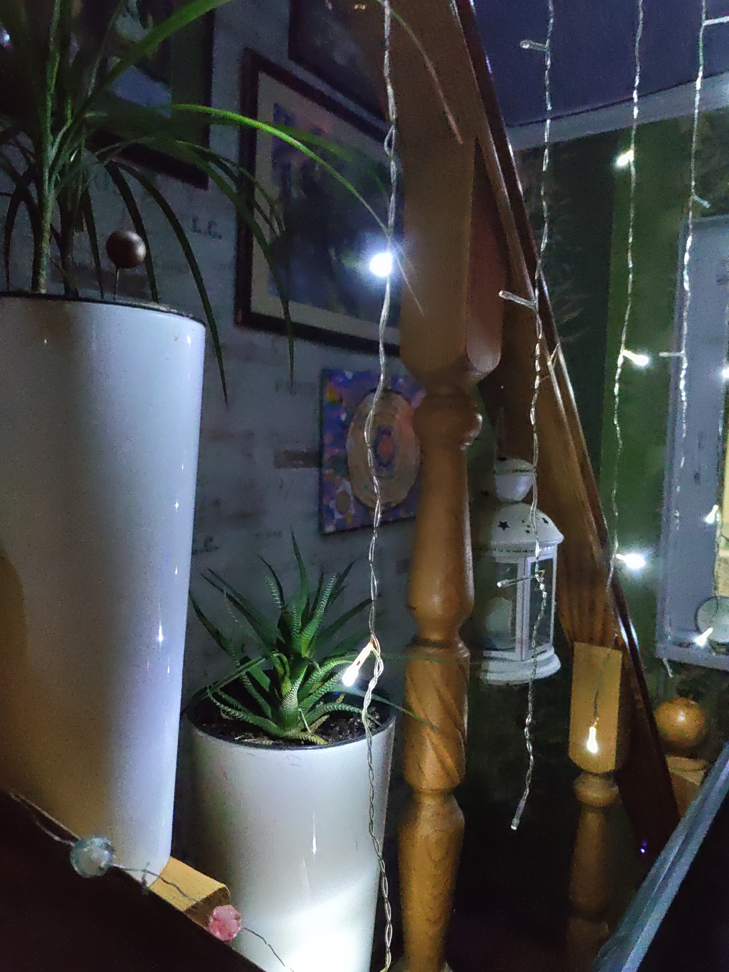 The image depicts an indoor scene with several potted plants, decorative string lights, and wooden elements. In the foreground, a large white planter contains a tall green plant with long, arching leaves. To its right, a smaller white pot holds a succulent with spiky, triangular leaves. String lights, some with visible bulbs, hang in strands, creating a festive and ambient atmosphere. Behind the plants, a wooden banister or railing is visible, with a carved detail. A white lantern with star cutouts hangs from the railing. Further in the background, a framed picture hangs on a textured wall. The overall lighting is dim, with the string lights providing the primary illumination. The scene appears to be a decorated interior space, possibly a home or a commercial establishment. The image does not contain any people or obvious actions. The location in the city of Rostov-on-Don, Russia, is not discernible from the visual content of the image.