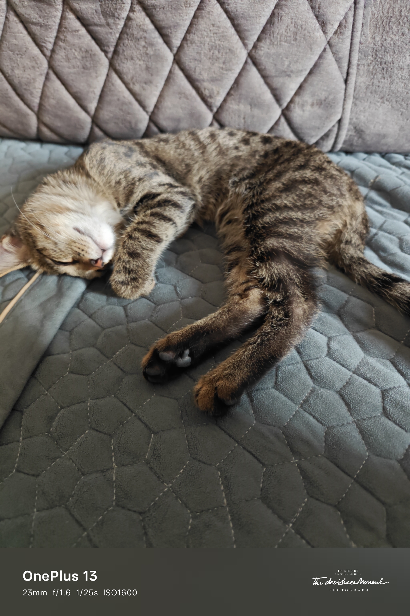 A tabby cat is sleeping on a quilted surface. The cat is curled up with its eyes closed and its paws tucked in. The surface appears to be a blanket or a comforter, with a textured, diamond-shaped pattern. The background consists of a plush, upholstered surface with a similar diamond pattern. The lighting is soft, suggesting an indoor setting. The bottom of the image contains text that reads "OnePlus 13" and "23mm f/1.6 1/25s ISO1600". There is also a watermark that reads "CREATED BY MASTER SERIES PHOTOGRAPH". There is no information in the image that can place the scene in the city of Jezqazğan, Kazakhstan.