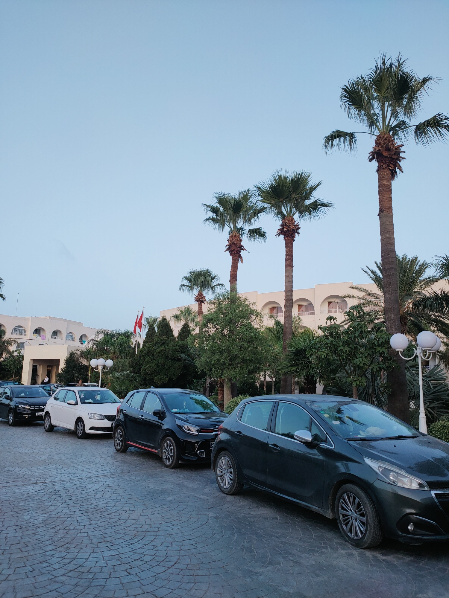 A line of cars is parked on a cobblestone driveway in front of a white, multi-story building with arched windows and balconies, likely a hotel or resort, in Nabeul, Tunisia. Several palm trees, some tall and slender with sparse fronds, others shorter and bushier, are visible throughout the scene, along with dense green foliage. Two red flags on poles stand near the building entrance. The sky is clear and pale blue, suggesting it is either early morning or late afternoon. The cars in the foreground include a dark gray hatchback and a black hatchback. Further down the line, a white hatchback is parked, followed by another black hatchback. The overall scene depicts an outdoor environment in a warm climate, with a focus on transportation and architecture.