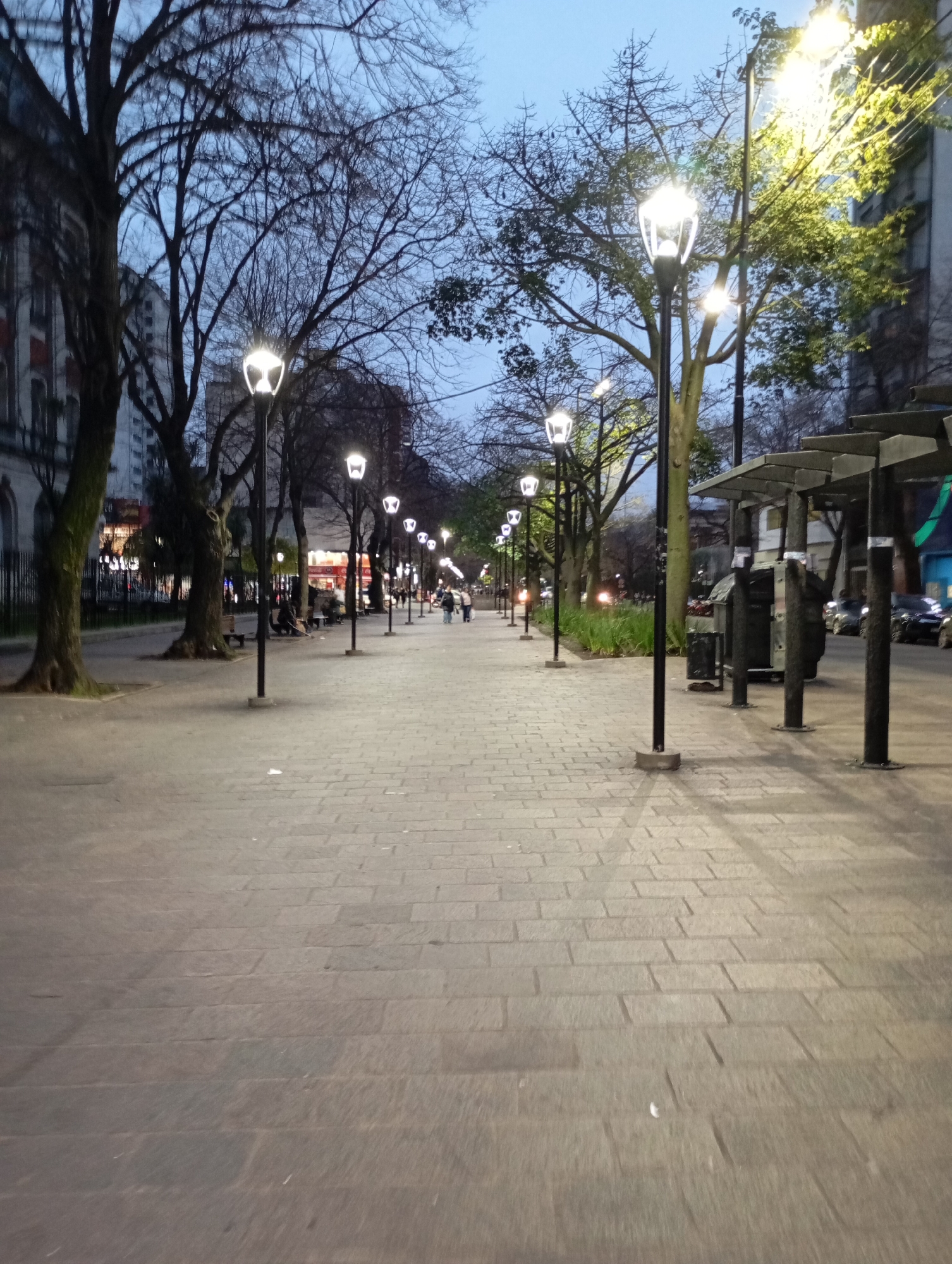 This is a ground-level, eye-level, long-shot photograph of a pedestrian walkway in the city of La Plata, Argentina, likely taken during twilight. The walkway is paved with rectangular stone slabs. On the left side of the walkway, there are several large trees with bare branches, and beyond them, buildings with architectural details visible. The right side of the walkway features a row of modern streetlights with a distinctive lamp design, spaced evenly apart, illuminating the path. Further down the walkway, more streetlights and trees are visible, creating a sense of depth. Several people are walking or sitting on benches in the distance, and a few vehicles are parked or moving on a street adjacent to the walkway on the far right. The sky is a pale blue, indicating either early morning or late evening. The overall atmosphere is serene and urban.