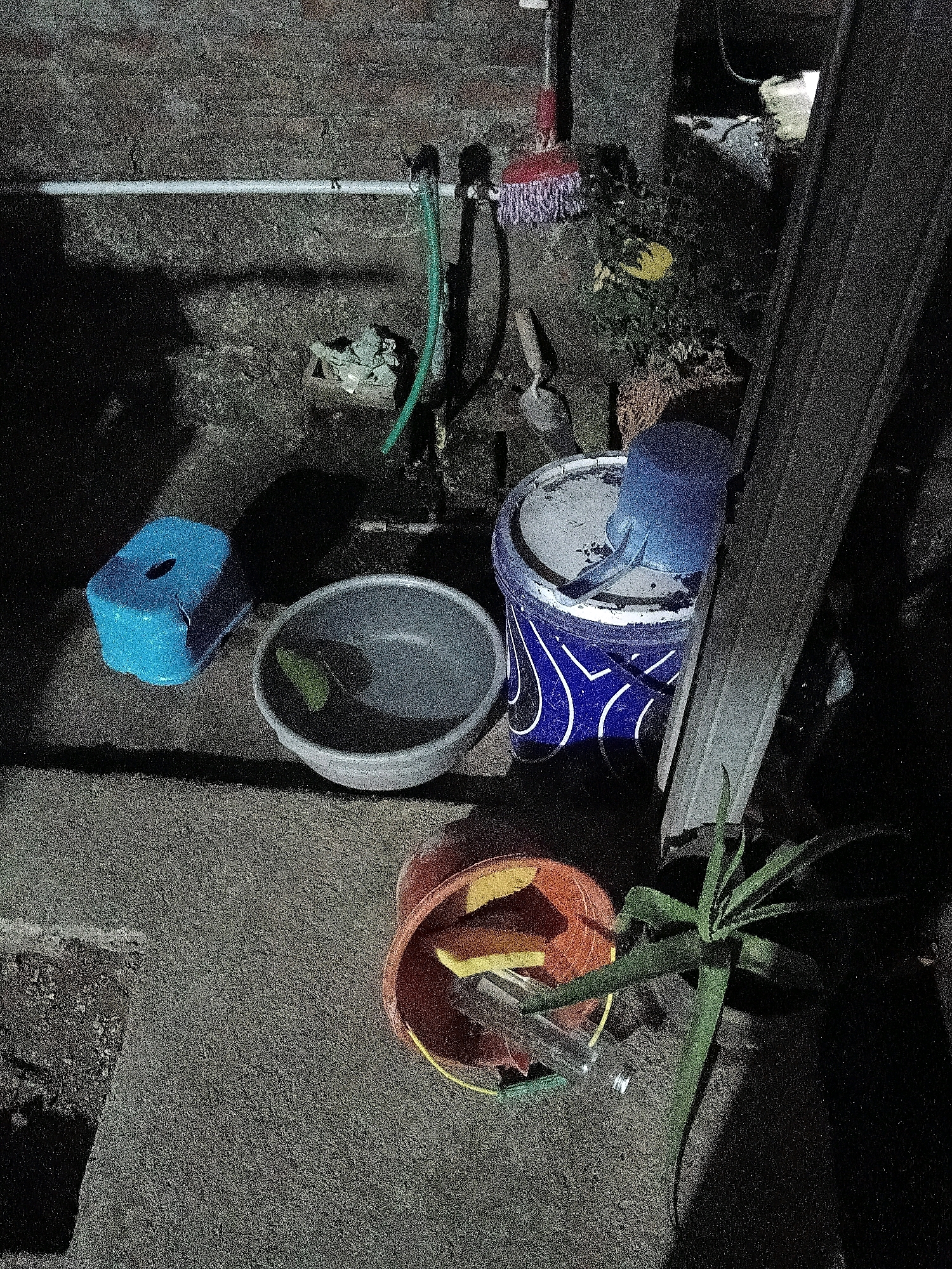 The image depicts a collection of household items and a plant situated on a concrete surface, likely an outdoor area or a utility space. A pale blue plastic stool with a rectangular seat and a hole in the center is positioned on the left. Adjacent to it, a large, light gray plastic basin contains a green object, possibly a piece of plastic or vegetation, and some water. Further to the right, a tall blue and white patterned bucket is visible, topped with a white lid. A blue plastic watering can rests on top of the bucket lid. In the foreground, an orange bucket is filled with various items, including what appears to be a yellow sponge, some clear plastic objects, and possibly a green hose. A small plant with long, green leaves is growing to the right of the orange bucket. In the background, a horizontal white pipe is mounted on a rough, textured wall. A green hose is attached to the pipe and dangles downwards. A red-bristled broom with a white handle is leaning against the wall above the hose. The lighting suggests it is nighttime or a dimly lit indoor space. The presence of cleaning supplies and gardening items suggests a functional area rather than a purely decorative one. There are no people visible in the image. The scene appears to be set in Cikal, Indonesia, based on the context provided.