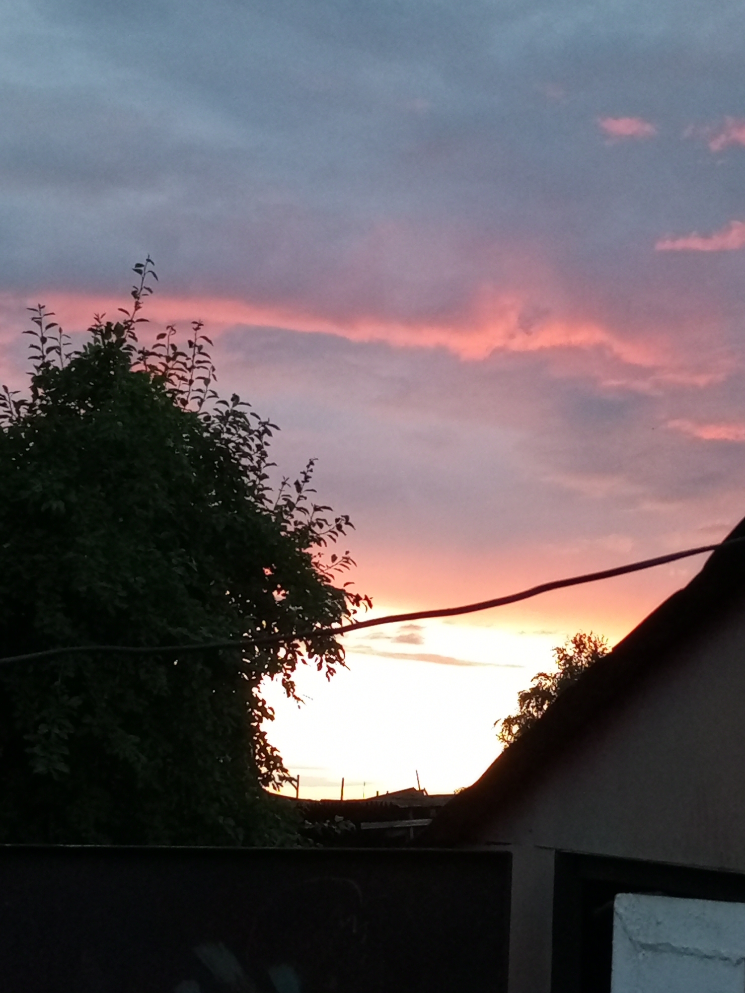 The image captures a twilight scene with a cloudy sky displaying hues of pink, purple, and gray. In the foreground, a large, dark green tree with visible branches and leaves occupies the left side of the frame. To the right, the dark silhouette of a rooftop, likely part of a building, slopes downwards from the top right corner. A dark wire runs horizontally across the mid-section of the image, intersecting with the tree and the rooftop. The background features a soft glow of the setting sun, with the sky transitioning to lighter tones near the horizon. Distant structures, possibly houses, are faintly visible in the far background. The overall impression is that of a quiet evening in a residential area. This scene is located in the city of Ворошиловка, Kazakhstan.