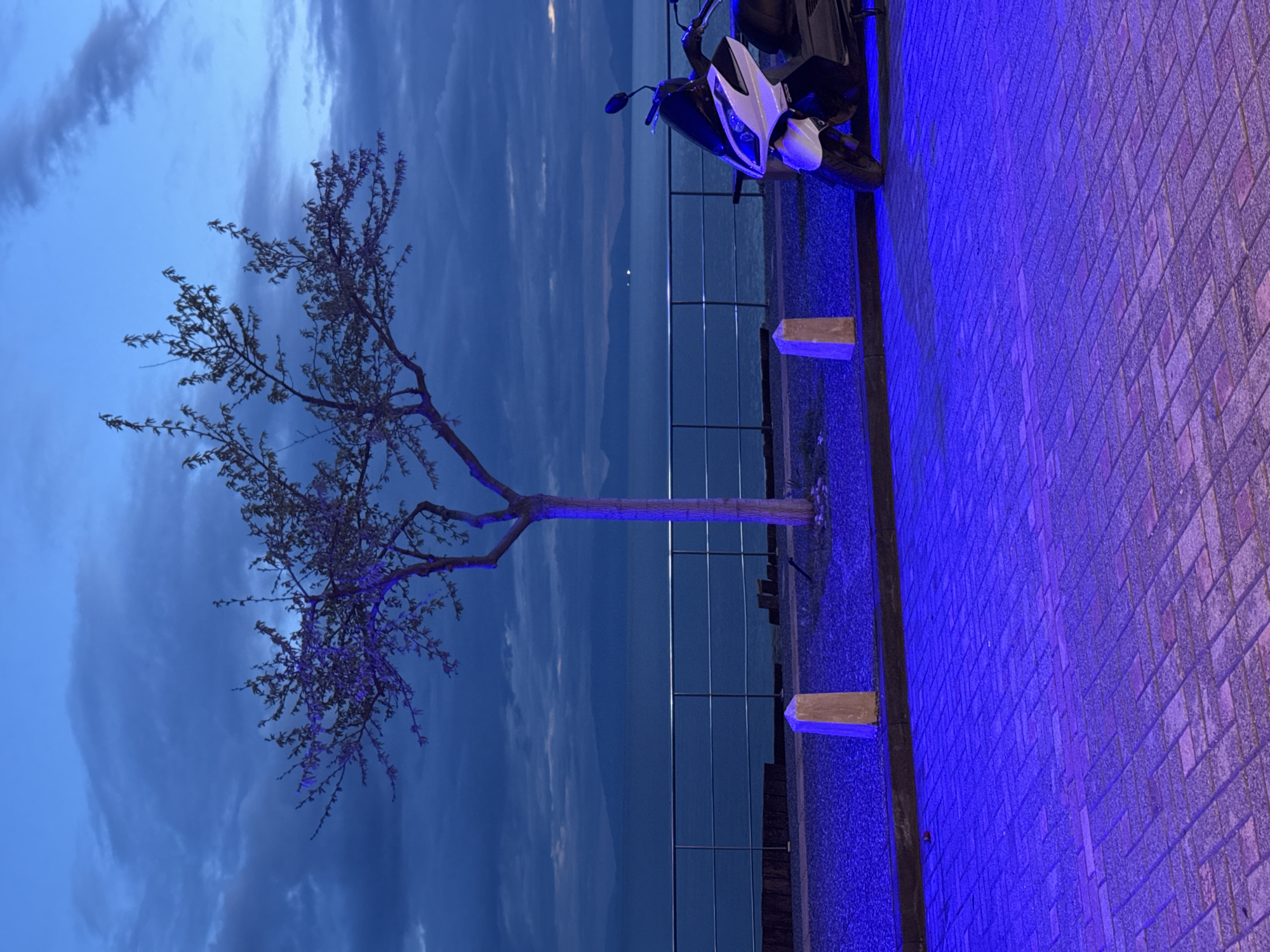 A sideways view of a scene captured at night in Νέα Καλλικράτεια, Greece. On the right side is a wall paved with stone bricks, illuminated by a purple light source. Adjacent to the wall is a narrow strip of gravelly ground bordered by a metal railing. Beyond the railing is a body of water and a cloudy sky. A bare tree stands beside the railing. A parked moped is visible near the right edge of the image.