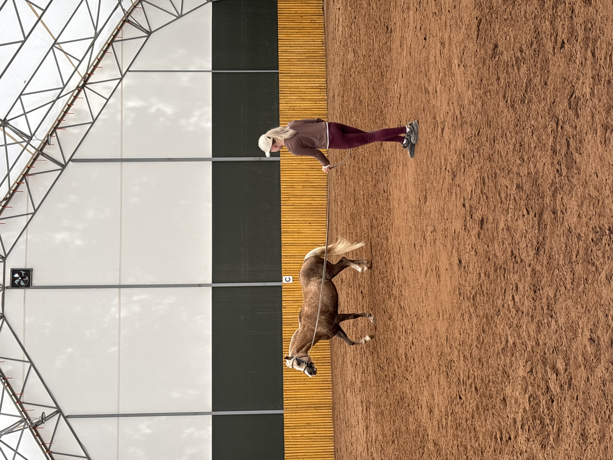 A medium shot captures a person lunging a horse in an indoor riding arena, likely in Русский Вожой, Russia. The person, dressed in maroon pants, a brown shirt, and a white cap, holds a lunge whip and line, directing a light brown horse with a blonde mane and tail. The horse is mid-stride. The arena is constructed with a white and black panel wall with a yellow wood wall between. The ground is a tan dirt or sand. The building has a white tent-like roof structure with a black metal support frame.