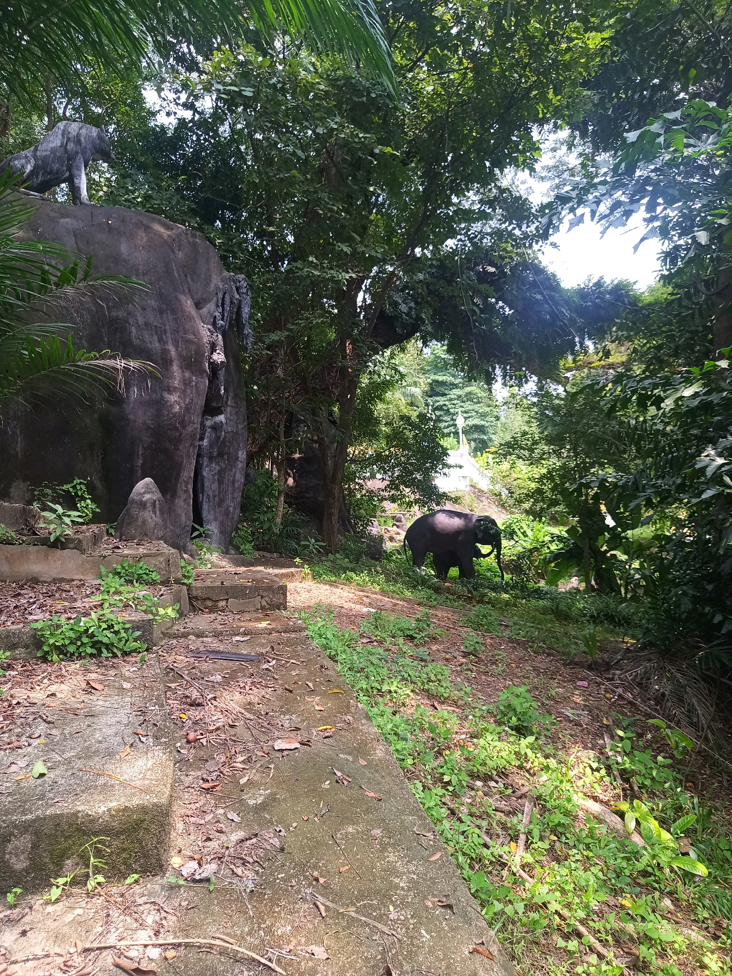 In Sai Thai, Thailand, a scene unfolds in a lush, overgrown environment with a prominent large, dark rock formation on the left, resembling a stylized elephant. On top of this rock, a grey, static sculpture of a large animal, possibly a tiger or lion, is positioned. In the mid-ground, a small, dark grey statue of an elephant stands on a grassy slope amidst dense green foliage and trees. A pathway, consisting of concrete steps and a dirt path, is visible in the foreground and extends towards the elephant statue. Overgrown vegetation, including green plants and fallen leaves, covers the ground and edges of the pathway. The background reveals more trees, foliage, and a bright sky filtering through the leaves.