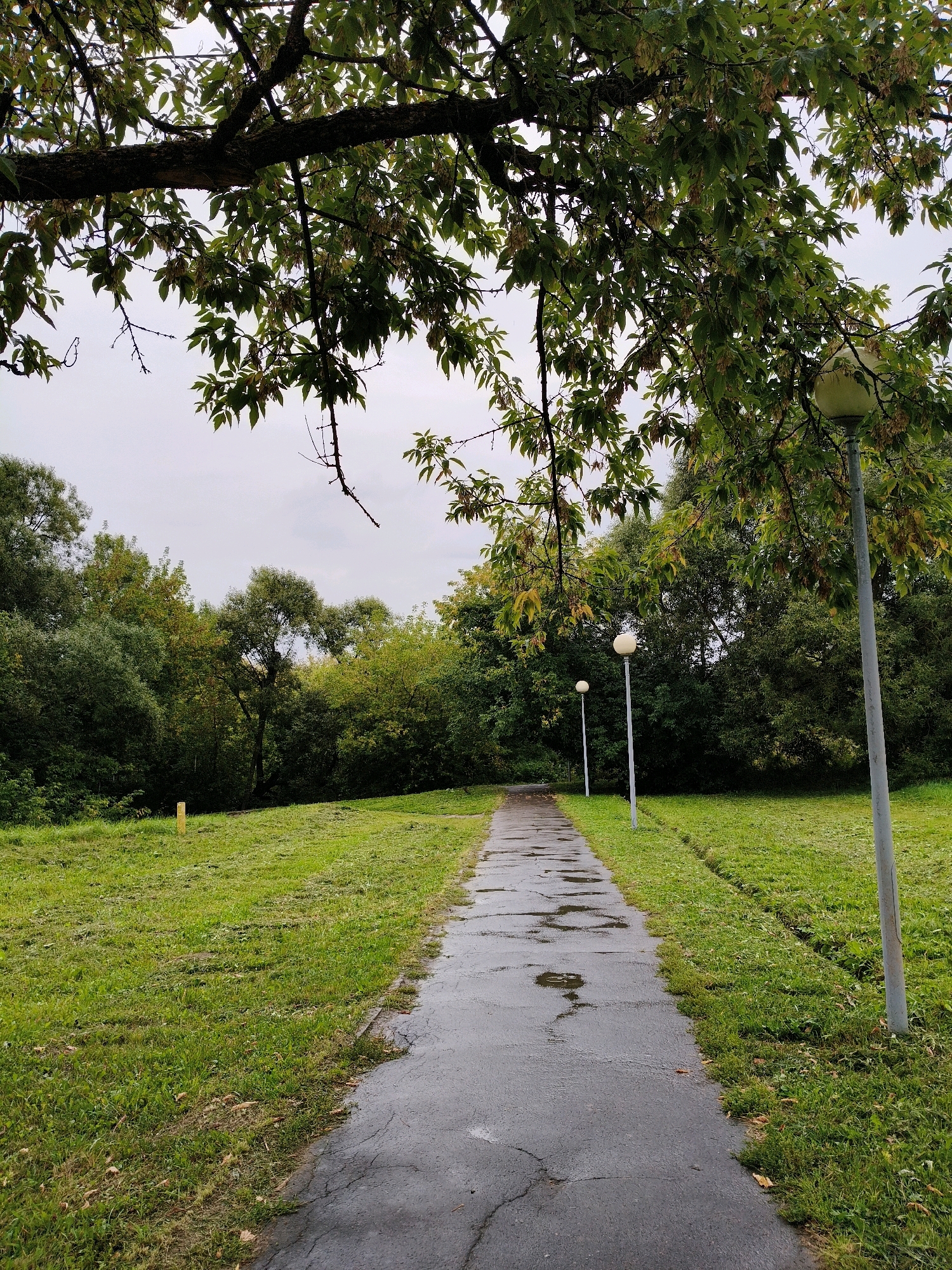 The image depicts a wet, cracked asphalt pathway leading through a grassy area under a canopy of leafy trees. The sky is overcast and gray. Two lampposts are visible along the right side of the path. In the distance, a dense line of trees forms the background. A yellow marker post stands in the grass to the left of the path. This scene is located in the city of Naro-Fominsk, Russia.