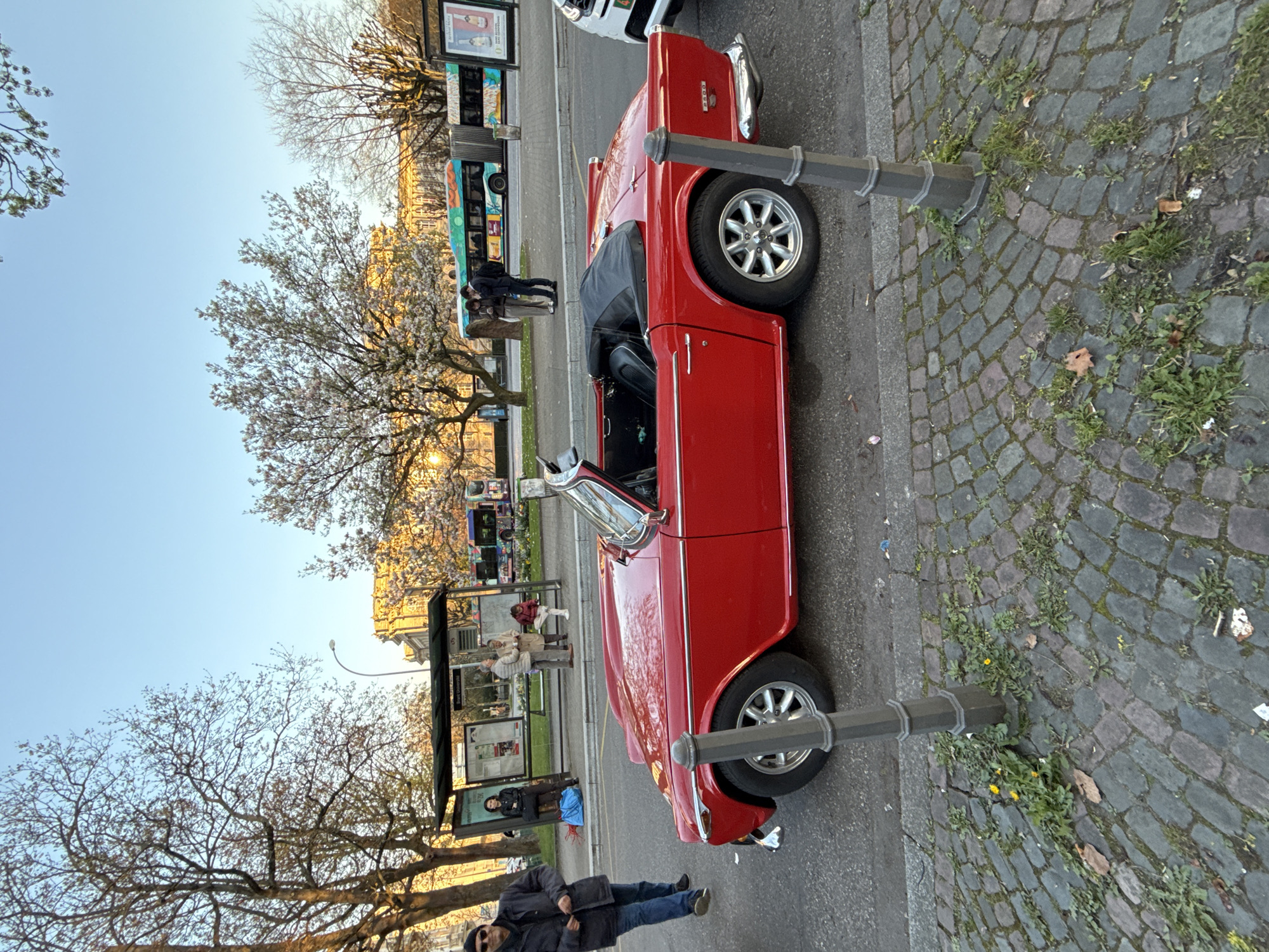 The image displays an urban street scene at the Brot Université bus stop in Strasbourg, France, under a clear, light blue sky during daylight, likely late afternoon or early evening. A bright red vintage Triumph TR6 2500 convertible, with its black soft top partially lowered, is prominently parked on the asphalt street in the foreground. It features chrome trim and multi-spoke alloy wheels. A small portion of a white modern vehicle is visible to its right.
To the left of the convertible, a male subject wearing a dark jacket, blue jeans, and sunglasses walks on the street, moving towards the left. The adjacent sidewalk is composed of grey cobblestones, exhibiting visible growth of weeds and dandelions, with a dark grey bollard positioned near the red car.
In the midground, a bus stop shelter, labeled "Brot Université," contains several individuals. A female subject in a black jacket stands on the left with a blue bag on the ground beside her. To her right, two adults and a child in a red jacket are observed waiting. Across the street, a long, articulated city bus, adorned with a green, blue, and orange abstract livery, is present. Two individuals stand near this bus, one appearing to interact with a mobile device.
The background includes a large, light-colored, architecturally ornate building bathed in golden sunlight. Various trees are interspersed throughout the scene; some exhibit bare branches, while others display new light green foliage and white blossoms, indicative of spring.