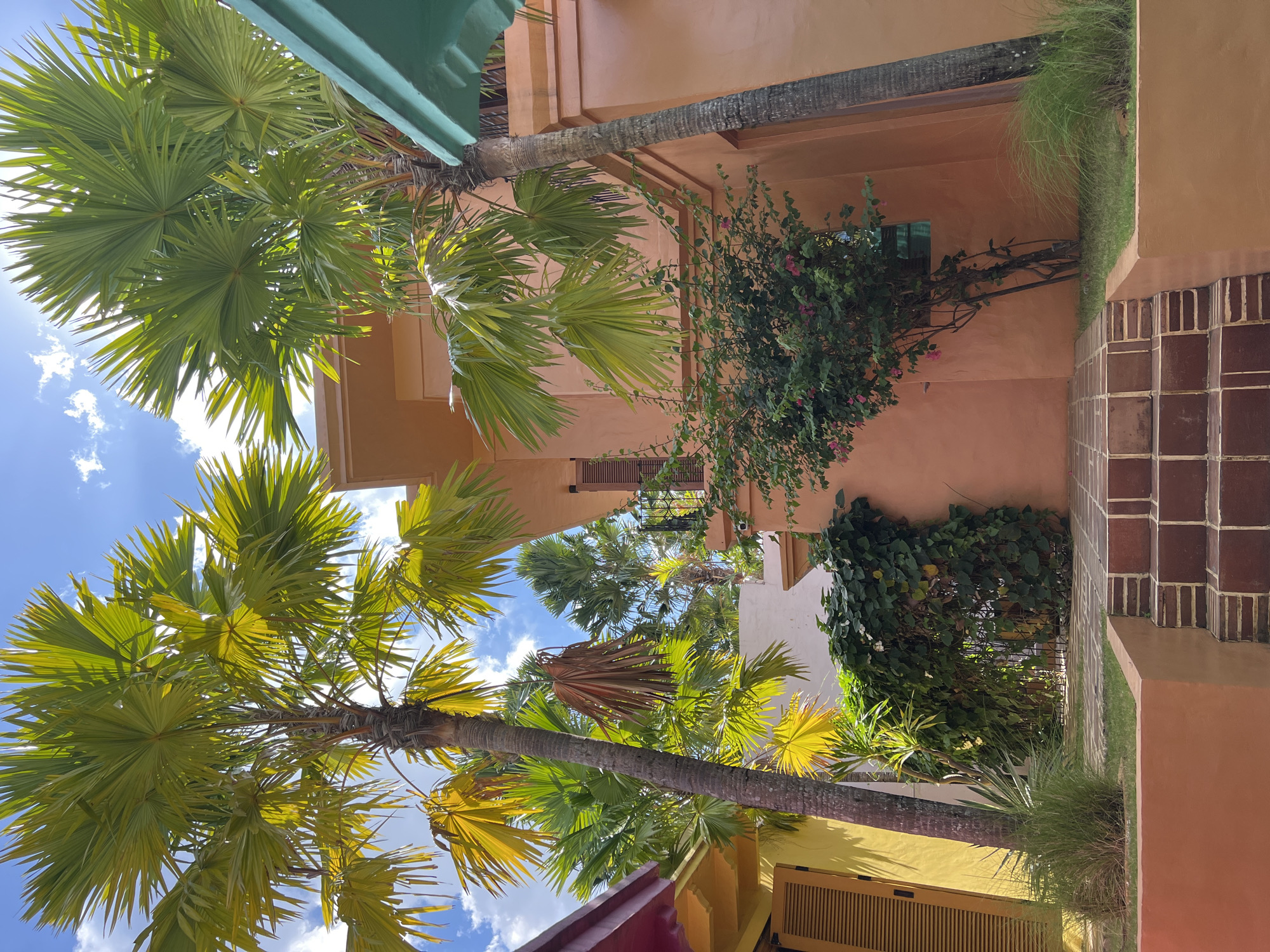 This is a low-angle, full-shot photograph of a tropical courtyard in North Kuta, Indonesia. Two prominent palm trees with large, fan-shaped fronds dominate the foreground, with their leaves backlit by the sun, creating a bright, dappled effect against a blue sky with scattered white clouds. The buildings surrounding the courtyard are painted in warm, earthy tones. On the left, a portion of a building with a magenta roof and yellow facade is visible. The central and right portions of the image feature a building with an orange-peach exterior. A narrow, green awning extends from the upper right corner.
In front of the orange-peach building, there is a dense cluster of green foliage, with a small flowering tree bearing pink blossoms. A short flight of reddish-brown tiled steps leads up to a pathway. To the left of the steps, a raised planter box, also painted in an orange-peach hue, contains lush green grass and a small, spiky plant. To the right of the steps and the planter, more green grass is visible. The overall impression is one of a vibrant, sun-drenched tropical setting.