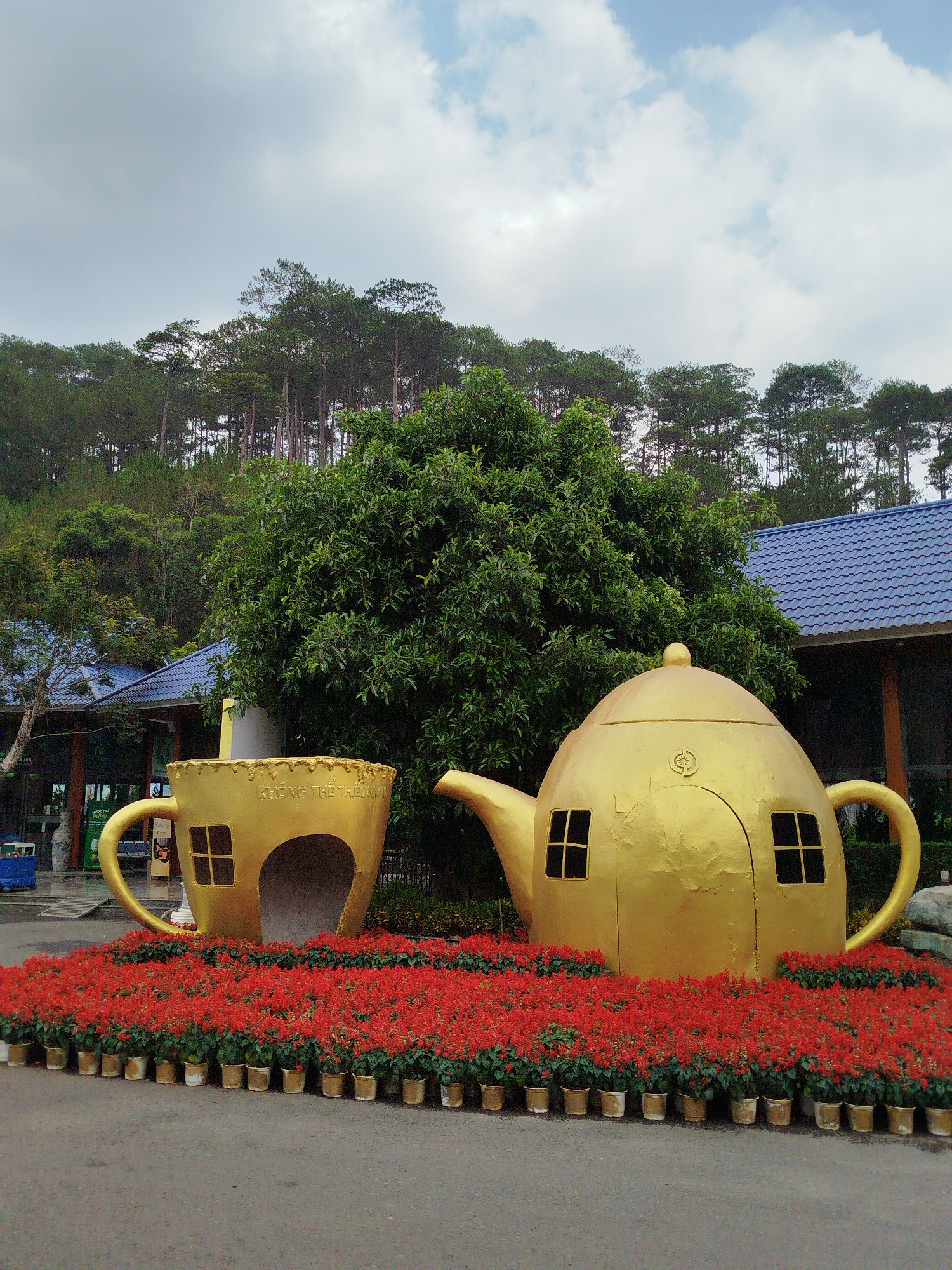 This image presents a whimsical outdoor scene dominated by two colossal golden sculptures: a teapot and a teacup, set amidst vibrant flora and lush greenery. In the foreground, a dense bed of brilliant red flowers, likely Salvia, is meticulously arranged in golden pots, creating a striking border around the larger-than-life tea set.
The golden teapot, with its rounded body, elegant spout, and large handle, is adorned with multiple small, dark, square windows featuring grid patterns, giving it the appearance of a fanciful dwelling. A small golden knob tops its lid. To its left, the equally large golden teacup sculpture also features a handle and a similar dark, grid-patterned window. An archway-like opening is carved into the front of the teacup, possibly serving as an entrance or a photo spot. Visible text on the teacup reads "KHÔNG THỂ THÊU NO."
Behind the golden sculptures, a voluminous green bushy tree acts as a natural backdrop, partially obscuring a building with a distinctive blue tiled roof visible on the right. Further into the background, a hillside is densely forested with numerous tall, slender pine trees reaching towards the sky. On the far left, another building structure is partially visible, with faint text including "A TRA" and "VIET" discernable on a sign.
The sky above is overcast with soft, diffused clouds, indicating daytime conditions, likely late morning or early afternoon. The scene evokes a fantastical atmosphere, suggesting a themed garden or tourist attraction, consistent with its location in Hiep Thanh, Vietnam. No people are visible, but the scale and design of the sculptures imply a space for public admiration and interaction. The ground in the immediate foreground is paved or asphalt.