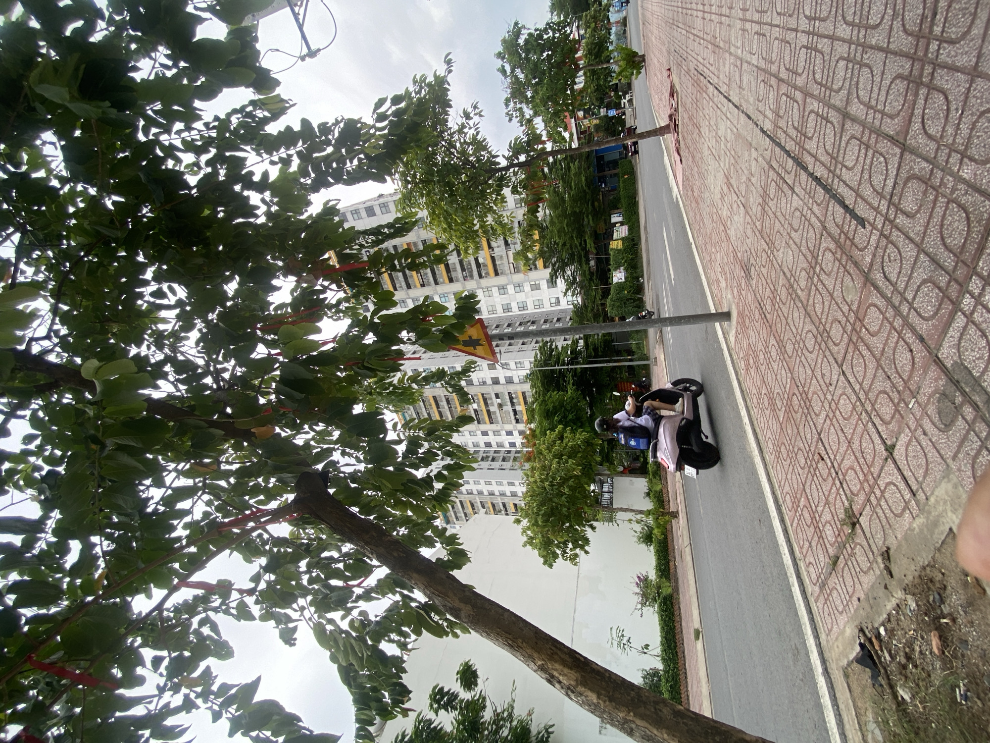 In Thuận An, Vietnam, a person rides a pink scooter down a street. The scooter rider, wearing a helmet and a backpack, is observed from the side as they move along the paved road. The street is bordered by a sidewalk with patterned red tiles. Beyond the sidewalk, there is a white building and a tall, modern apartment building with multiple windows. Lush green trees with some red ribbons tied to their branches line the street, casting shadows and partially obscuring the sky, which appears overcast. A yellow traffic sign with a black symbol is visible on a pole near the apartment building. The scene depicts a typical urban environment with residential and commercial elements.