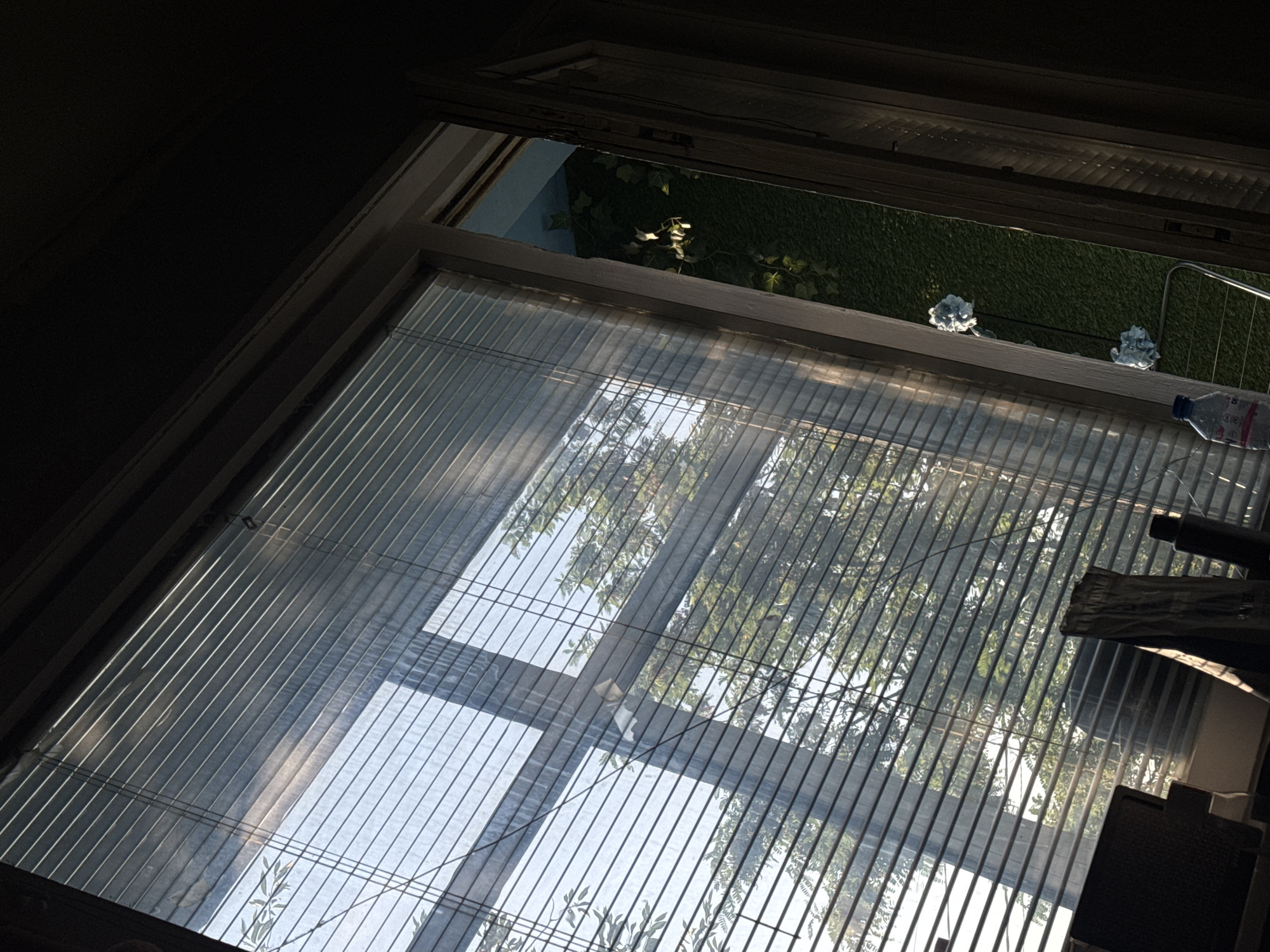 This is a photograph taken from indoors, looking out through a window with horizontal blinds. The blinds are partially open, allowing sunlight and a view of the outdoors. Outside, trees with green foliage are visible against a bright sky. To the right of the window, a wall covered in green ivy or artificial turf is visible, with two light blue decorative floral arrangements. On the windowsill, or just inside the window, a plastic bottle of water is present, along with some other objects that are not clearly identifiable due to the lighting and angle. The overall impression is of a domestic setting during daylight hours. The image provides no information about the specific location within Sofia, Bulgaria, or the presence of any people.