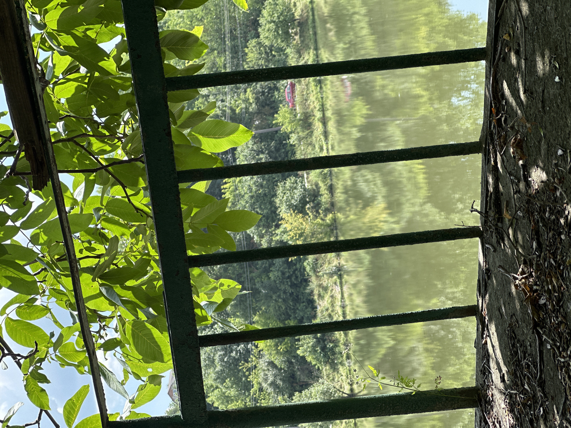 The image depicts a view through a green metal fence, overlooking a tranquil body of water. Lush green foliage, likely from trees, drapes over the top of the fence, casting dappled shadows. The water's surface reflects the surrounding greenery and the bright blue sky, creating a serene atmosphere.
On the opposite bank of the water, a dense line of trees forms a verdant backdrop. A small, red car is visible parked near the tree line, suggesting a road or path running alongside the water. The foreground consists of a gritty, textured surface covered with fallen leaves and twigs, indicating an outdoor setting.
The scene appears to be set in an outdoor environment, possibly a park or a natural reserve. While the image does not explicitly state the location, it is possible this scene is within the vicinity of Makiv, Ukraine, given the context. There are no people visible in the image. The overall impression is one of natural beauty and peacefulness, with the fence acting as a visual barrier between the viewer and the landscape.