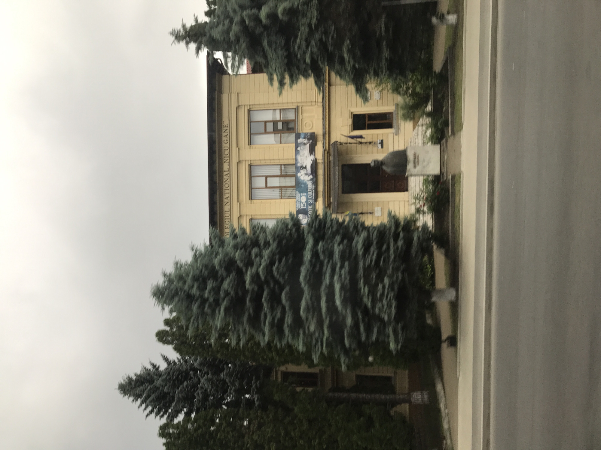 The image displays the front facade of Colegiul Național „Nicu Gane” in Fălticeni, Romania, under an overcast sky. The two-story building is painted a light yellow or ochre, featuring a classical architectural style with dark-framed rectangular windows. Above the first-floor windows, the text "COLEGIUL NATIONAL „NICU GANE”" is prominently displayed. Below these windows, a banner reads "150 ANI DE EDUCATIE SI CULTURA," accompanied by historical photographs.
A dark-colored bust or statue, likely of Nicu Gane, stands on a white pedestal directly in front of the main entrance, which is sheltered by a small canopy. Numerous dense evergreen trees with blue-green foliage are positioned on both sides of the building and partially obscure its facade, particularly on the left. Other green trees are visible further back and to the left. In the foreground, a paved road stretches horizontally, separated from the building by a light-colored sidewalk and a strip of grass with some bushes and landscaping. A small white post with a dark top is visible on the far right of the sidewalk.