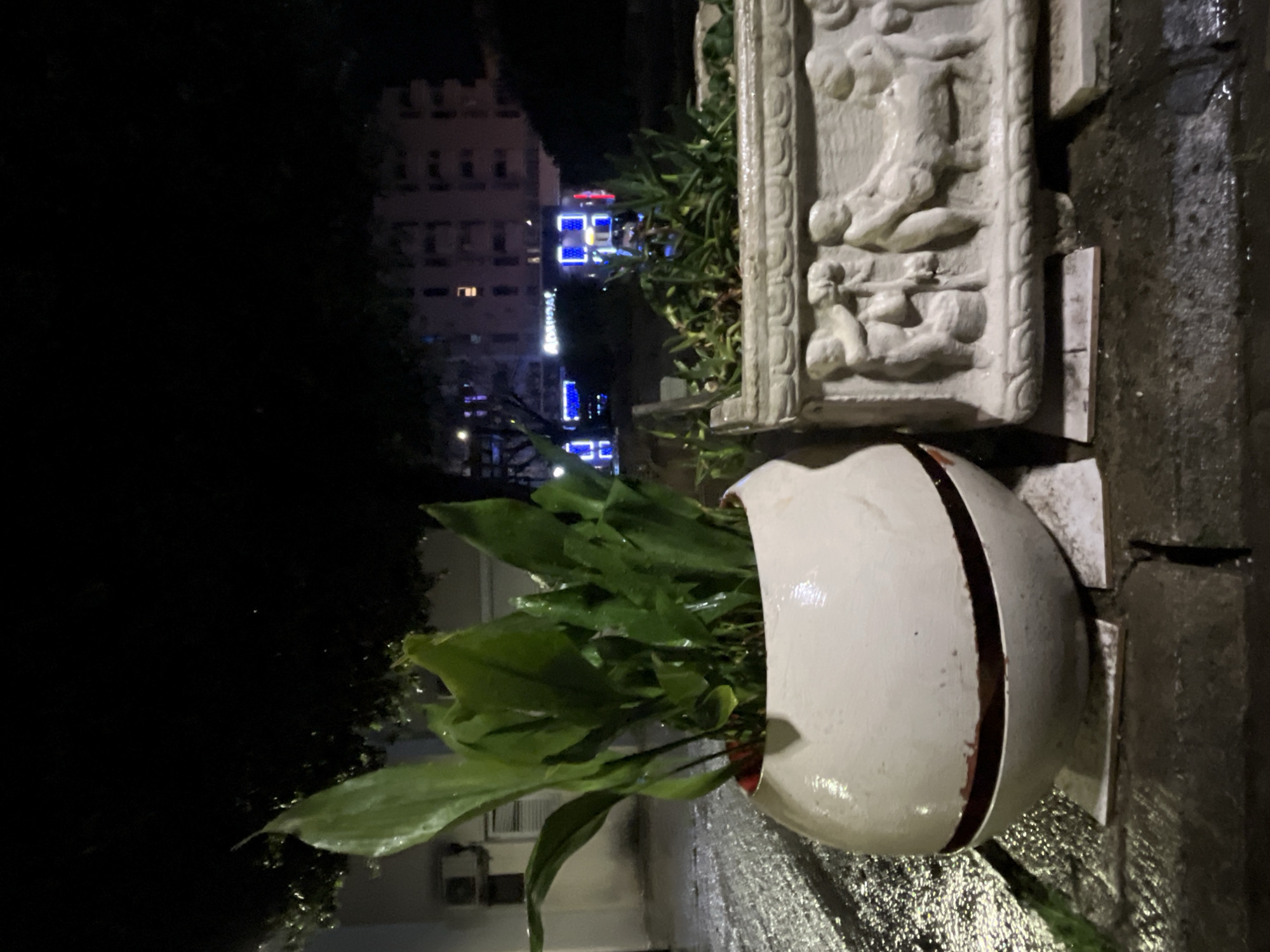 The image depicts an outdoor urban scene at night in Budva, Montenegro, following or during precipitation, evidenced by wet surfaces.
In the foreground, two distinct plant containers are positioned on dark, wet pavement. On the left, a spherical white planter with a prominent dark red horizontal band near its base contains a dense cluster of broad-leafed green plants, consistent with a *Spathiphyllum* species. This planter rests on two small, light-colored square tiles. To its right, a rectangular, light-colored stone planter is visible, adorned with bas-relief carvings depicting classical-style human figures, some interacting with an animal resembling a lamb or calf. This container holds smaller green vegetation and is also supported by light-colored square tiles.
The background features dark foliage and a light-colored building with an external air conditioning unit on the left. In the distance, a multi-story building with several illuminated windows is partially discernible. A bright blue neon sign displaying "ADMIRAL" is clearly visible on a building in the background, alongside other blue illuminated elements, indicating a commercial establishment. No human subjects are present.