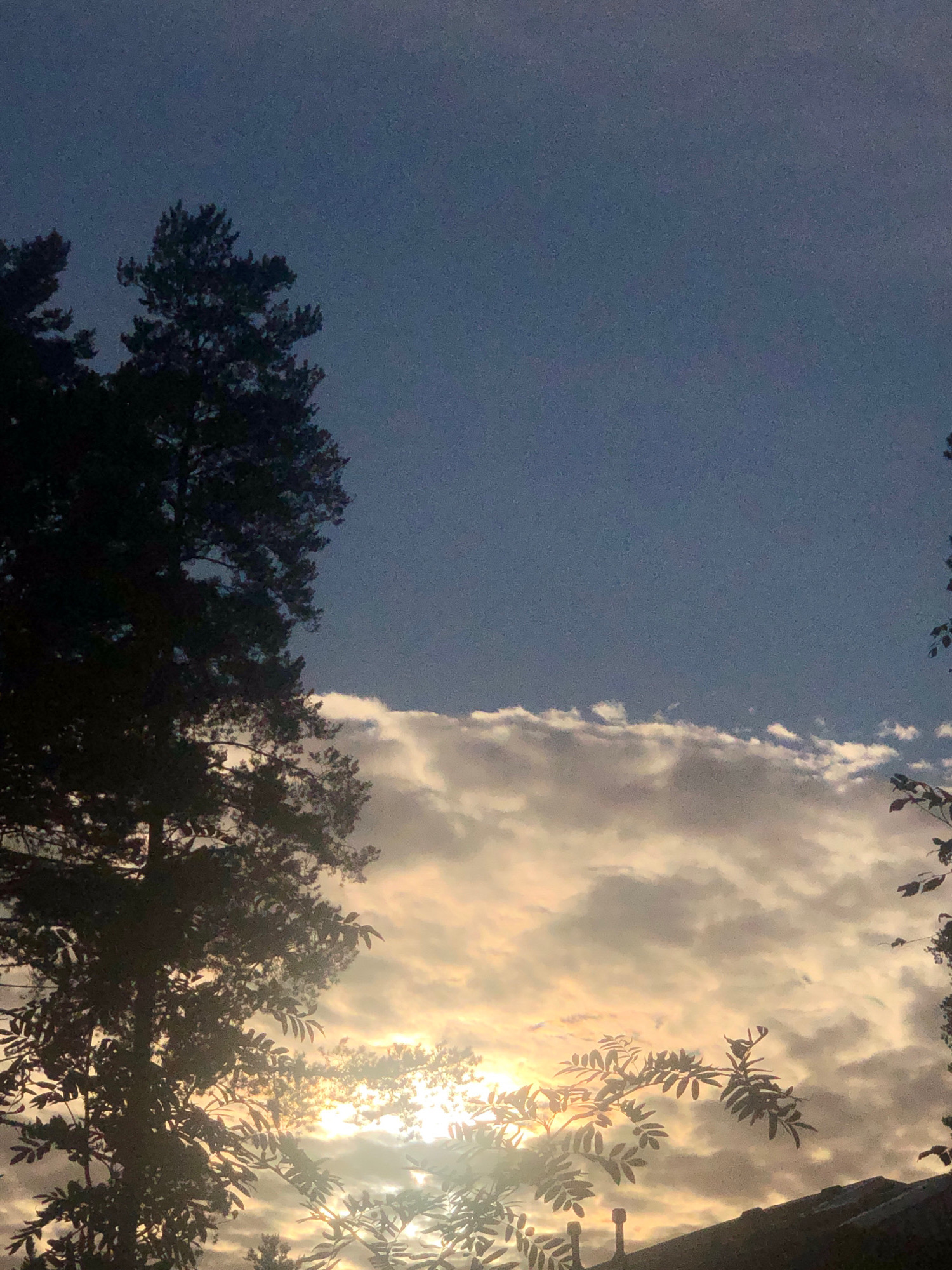 The image depicts a sunset sky over a silhouette of trees and foliage. The sky transitions from a dark blue at the top to lighter hues of orange and yellow near the horizon, illuminated by the setting sun which is partially obscured by clouds. A large evergreen tree stands in silhouette on the left side of the frame. In the foreground, branches with leaves are silhouetted against the bright sky. A dark, angled surface, possibly a roof or elevated structure, is visible in the lower right corner. The setting is outdoor and appears to be a natural landscape within or near an urban environment. The specific location is Им. Луначарского Снт, Russia.