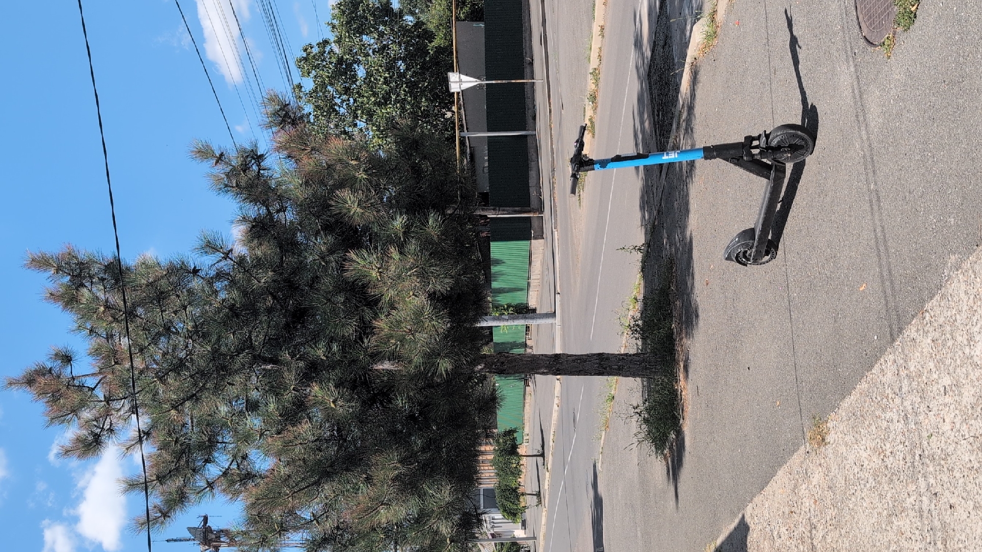 An electric scooter with a blue stem and black deck is parked on a paved sidewalk next to a street in Izmail, Ukraine. A tall, slender pine tree with dark green needles stands to the left of the scooter, casting a shadow on the sidewalk and street. Behind the tree, a narrow paved road runs parallel to the sidewalk, with white lane markings visible. A low green metal fence borders the far side of the road, with buildings and trees visible beyond it. The sky is clear and blue with a few scattered white clouds. A power line stretches across the upper portion of the image.